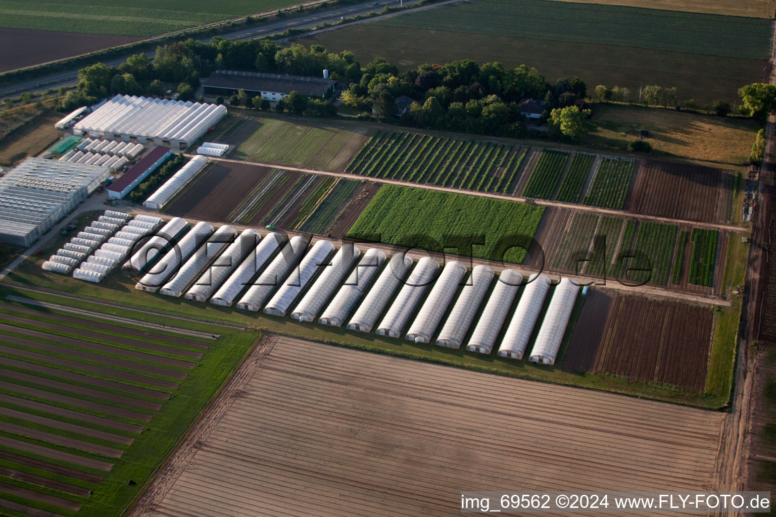 Oblique view of Enza Zaden Germany GmbH in the district Dannstadt in Dannstadt-Schauernheim in the state Rhineland-Palatinate, Germany