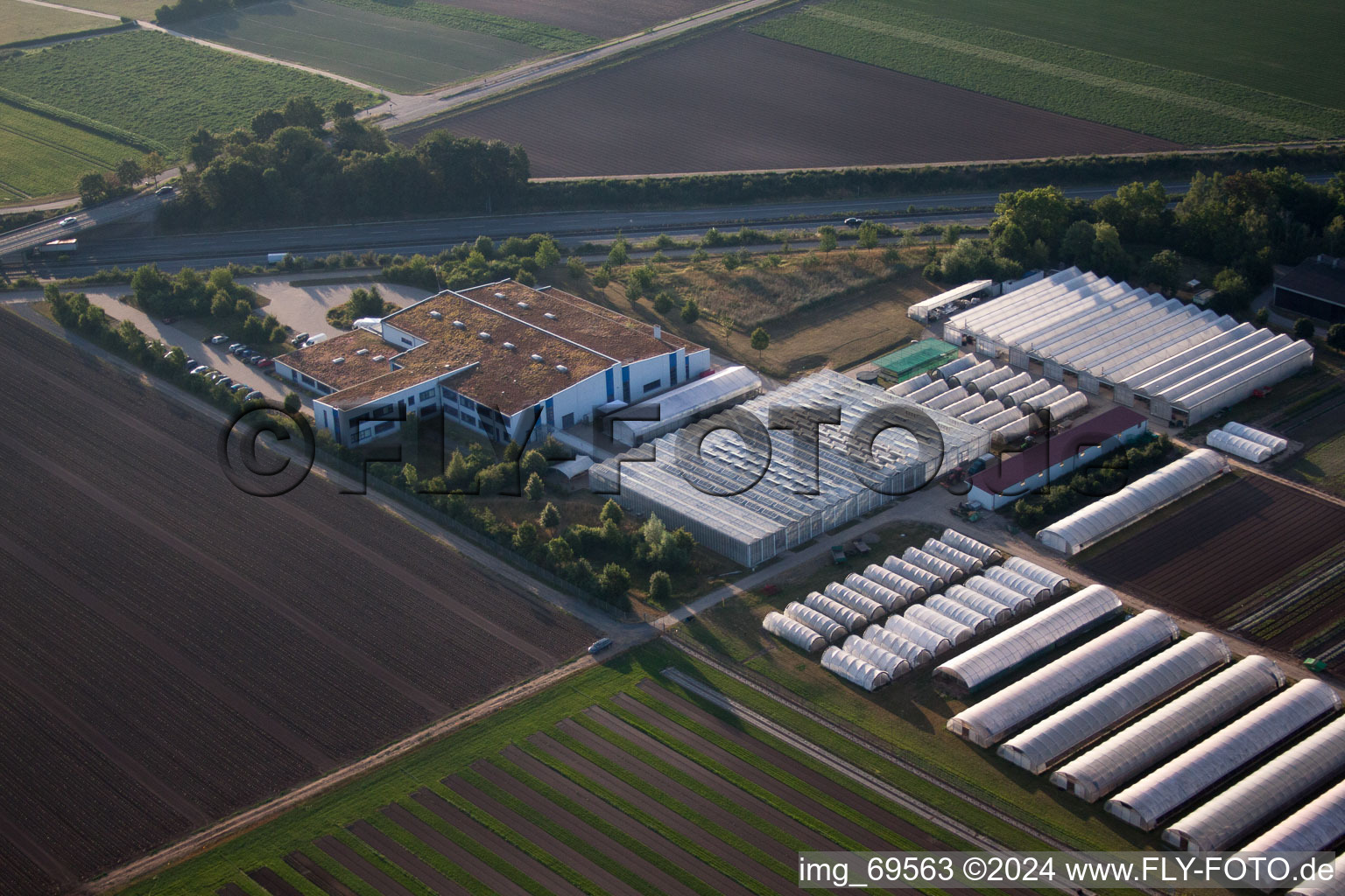 Enza Zaden Germany GmbH in the district Dannstadt in Dannstadt-Schauernheim in the state Rhineland-Palatinate, Germany from above