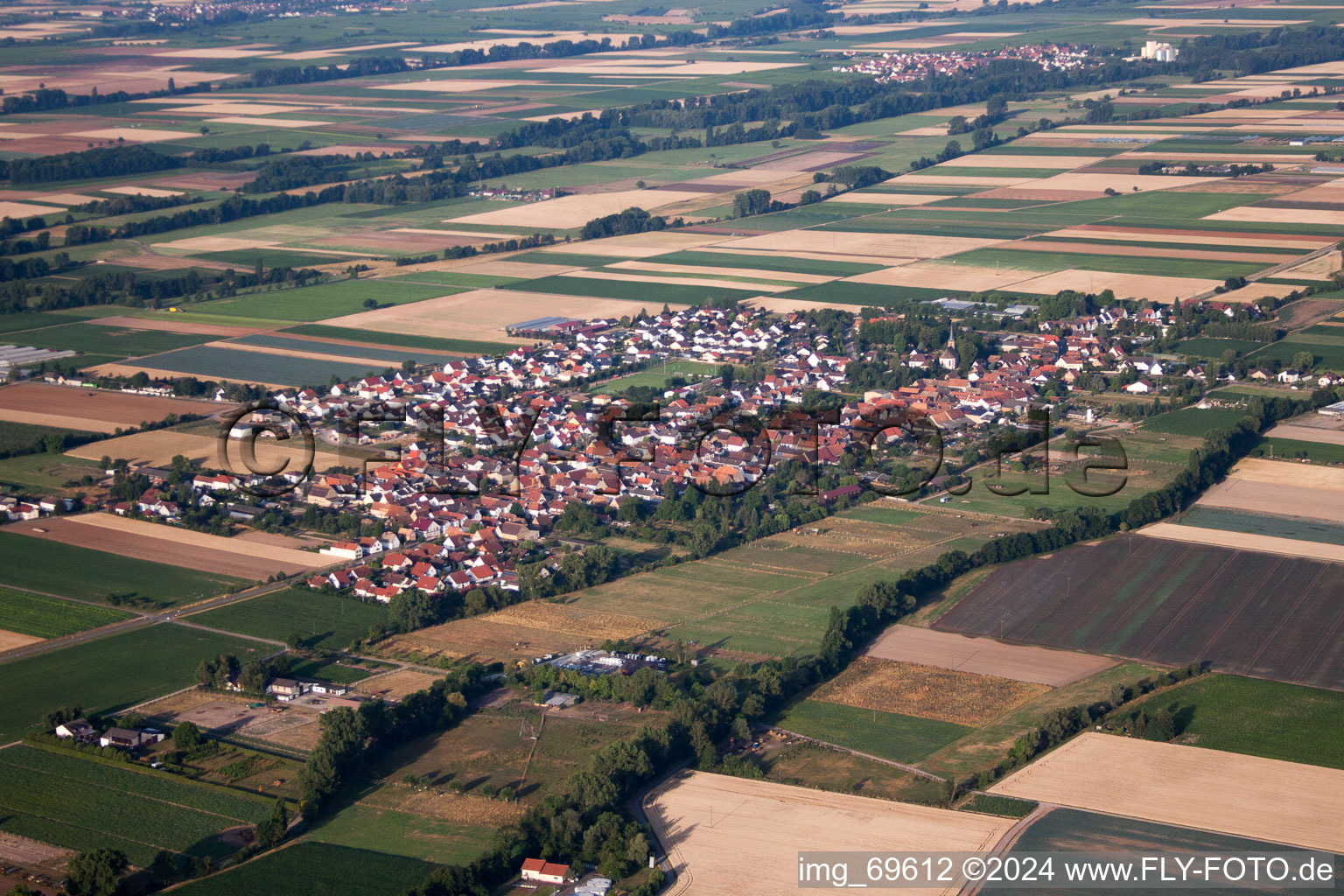 Gommersheim in the state Rhineland-Palatinate, Germany from the drone perspective