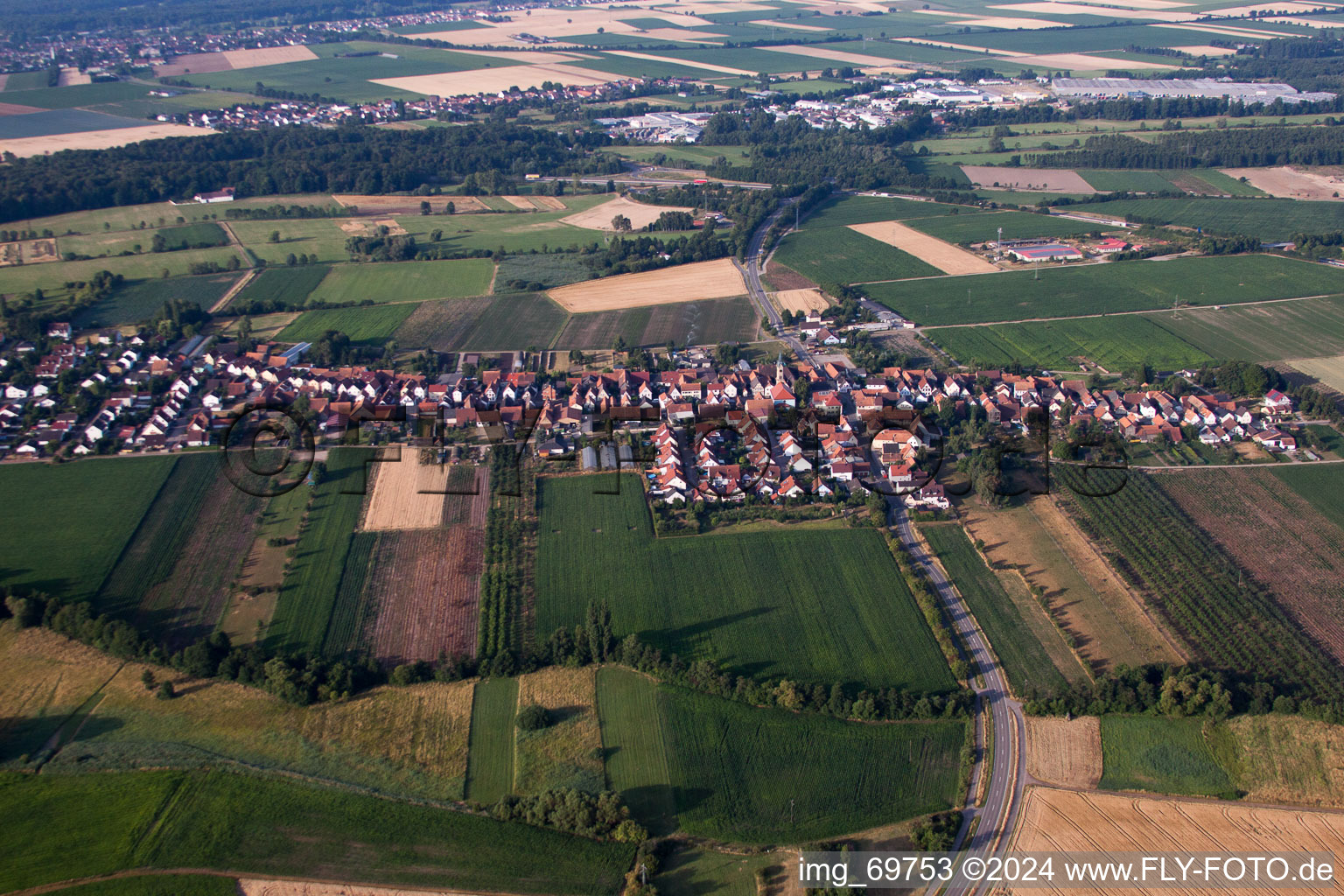 Drone image of Erlenbach bei Kandel in the state Rhineland-Palatinate, Germany