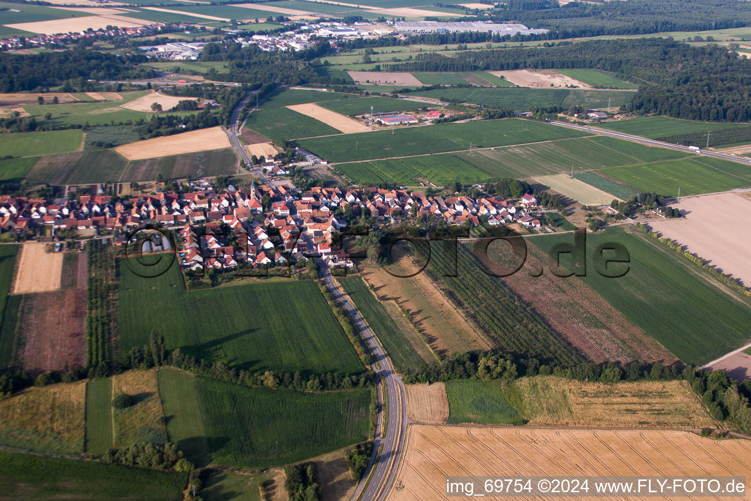 From the north in Erlenbach bei Kandel in the state Rhineland-Palatinate, Germany out of the air