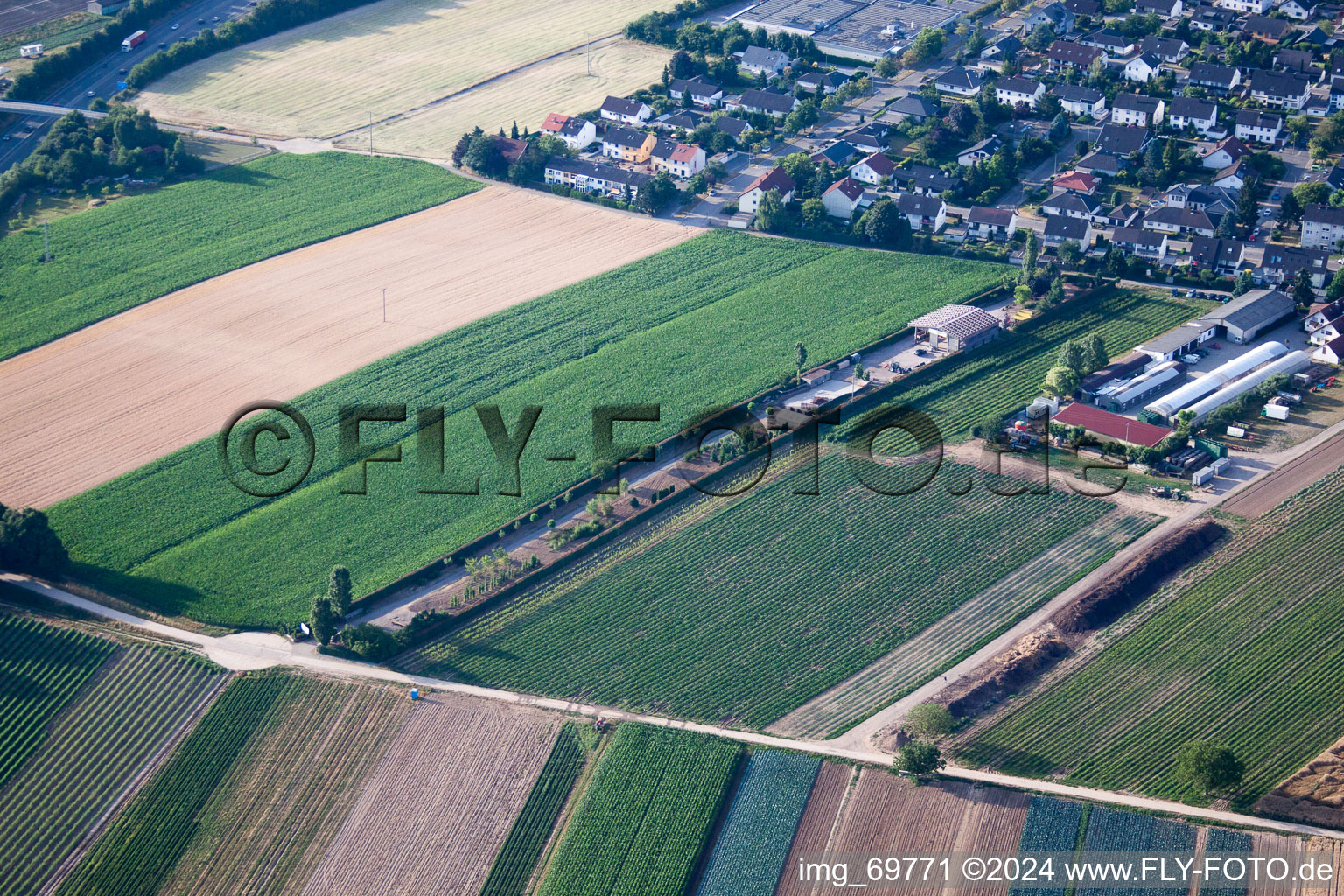 Kandel in the state Rhineland-Palatinate, Germany from the drone perspective