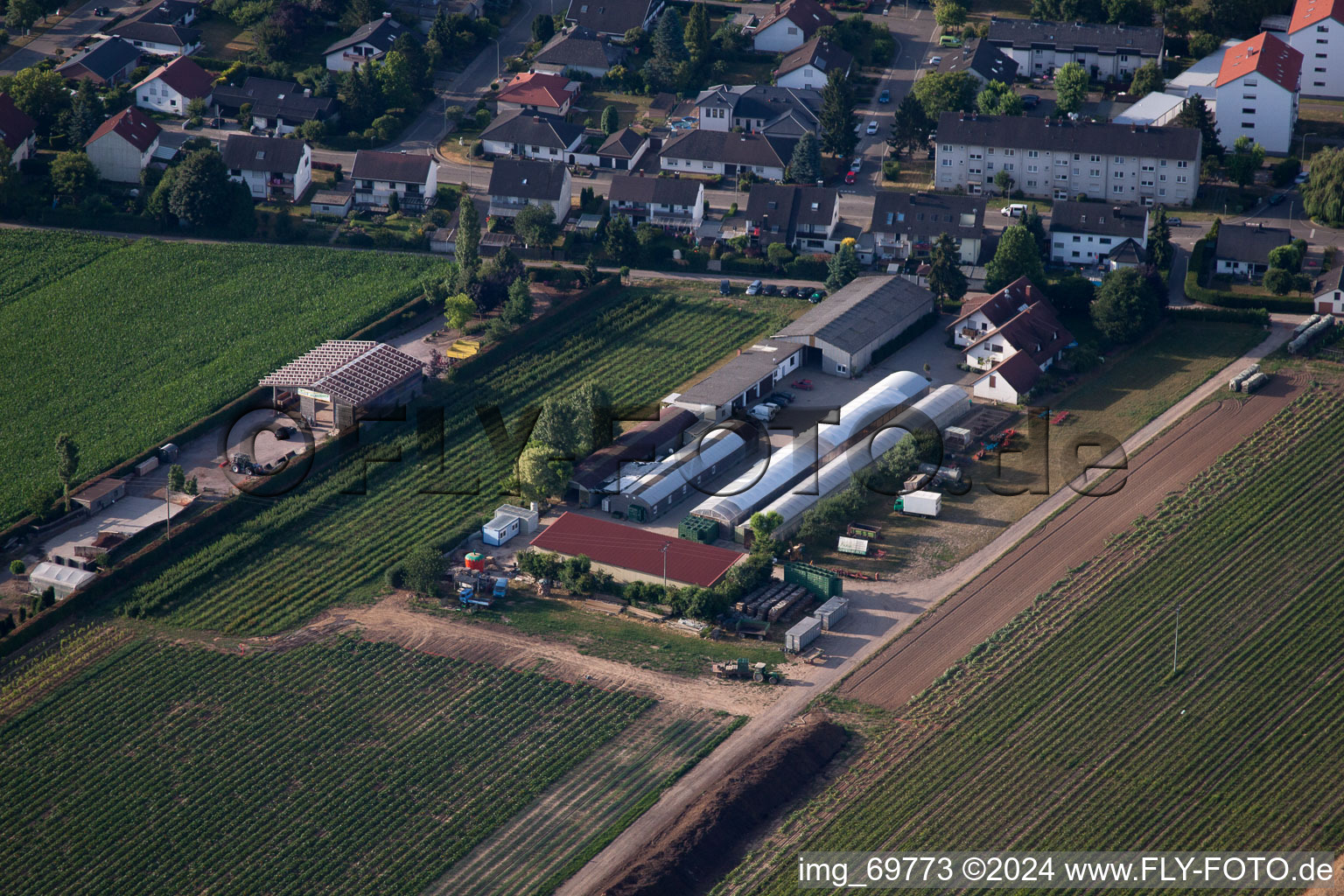 Kandel in the state Rhineland-Palatinate, Germany from a drone