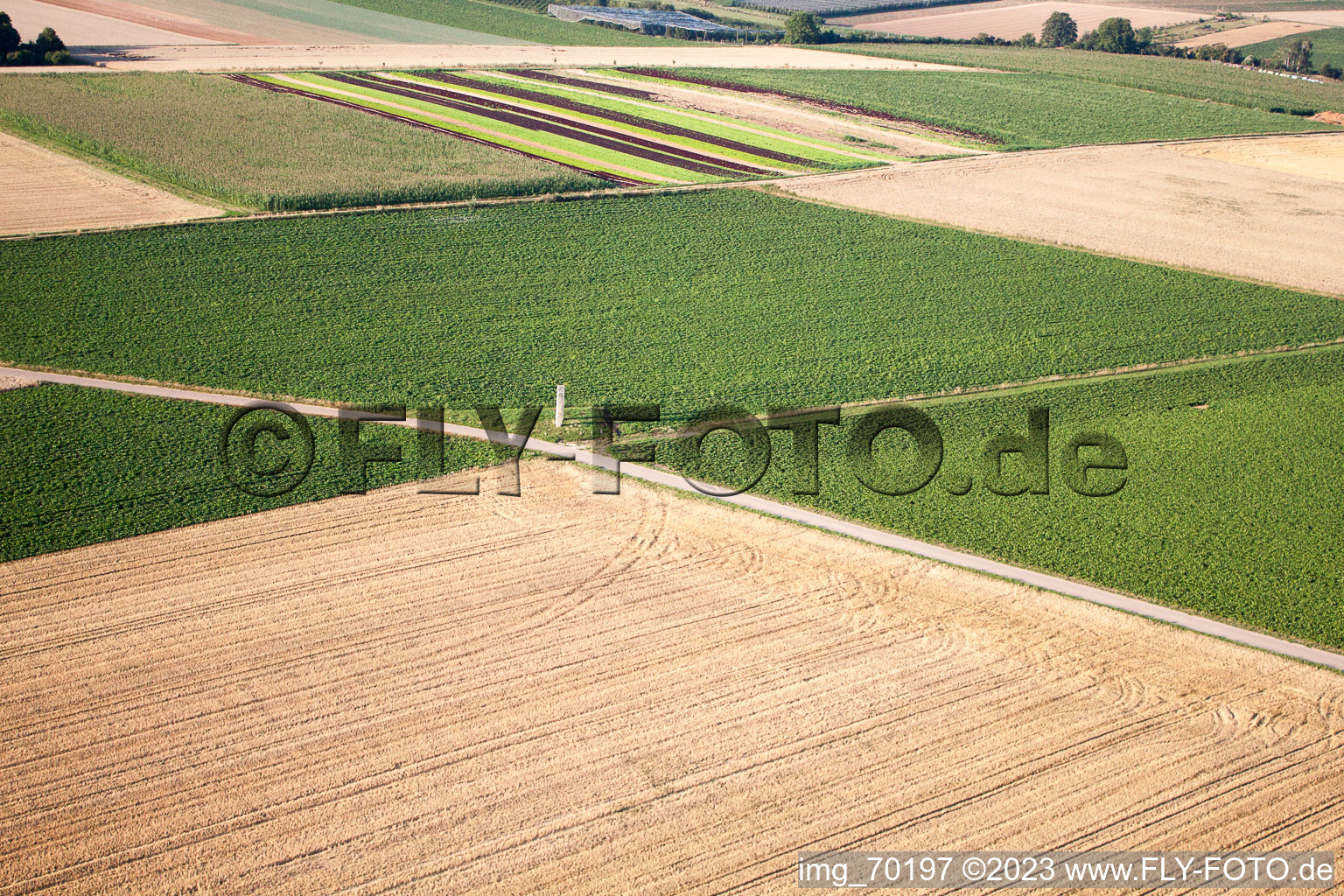 Steal in the district Herxheim in Herxheim bei Landau/Pfalz in the state Rhineland-Palatinate, Germany