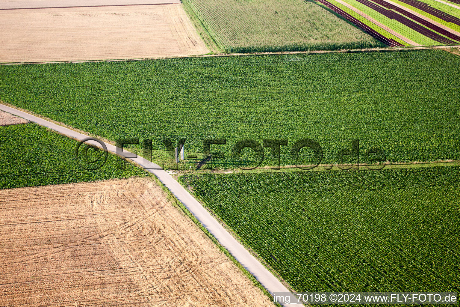 Aerial view of Steal in the district Herxheim in Herxheim bei Landau/Pfalz in the state Rhineland-Palatinate, Germany