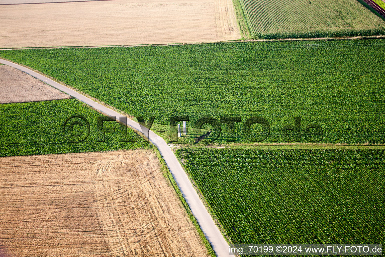 Aerial photograpy of Steal in the district Herxheim in Herxheim bei Landau/Pfalz in the state Rhineland-Palatinate, Germany