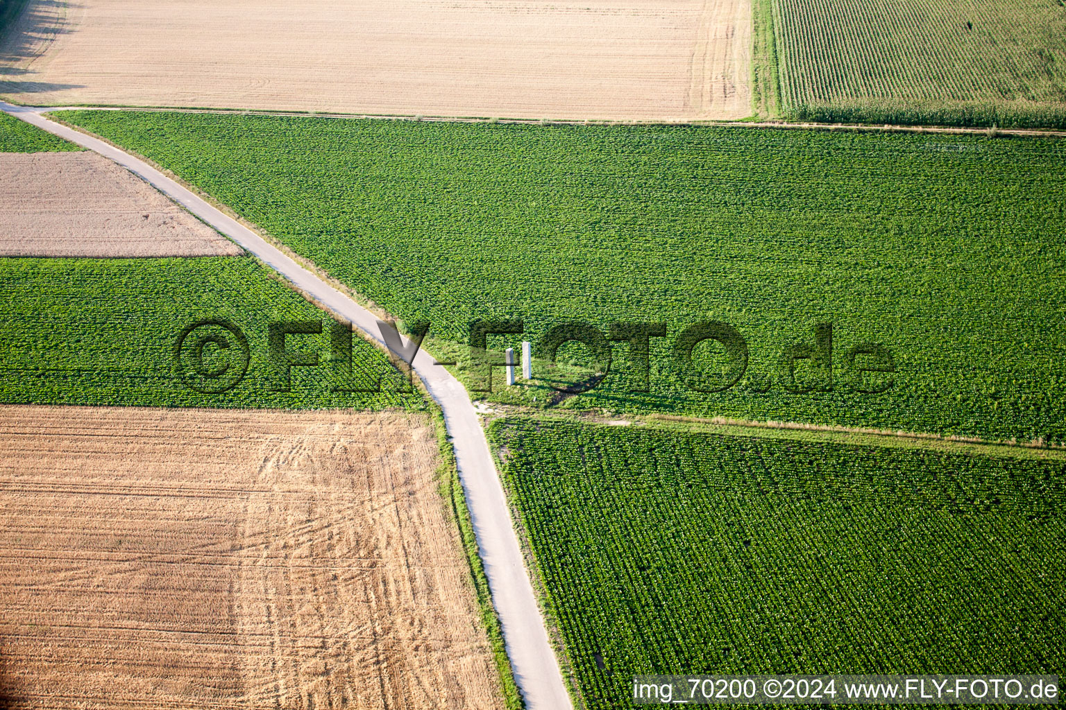 Oblique view of Steal in the district Herxheim in Herxheim bei Landau in the state Rhineland-Palatinate, Germany