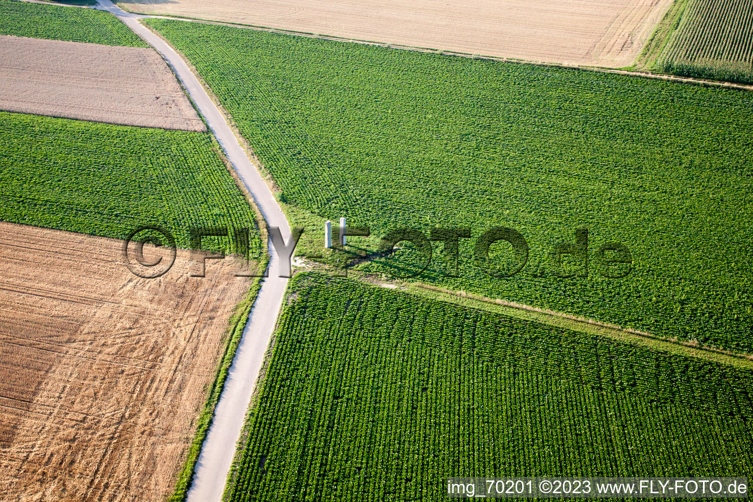 Steal in the district Herxheim in Herxheim bei Landau/Pfalz in the state Rhineland-Palatinate, Germany from above