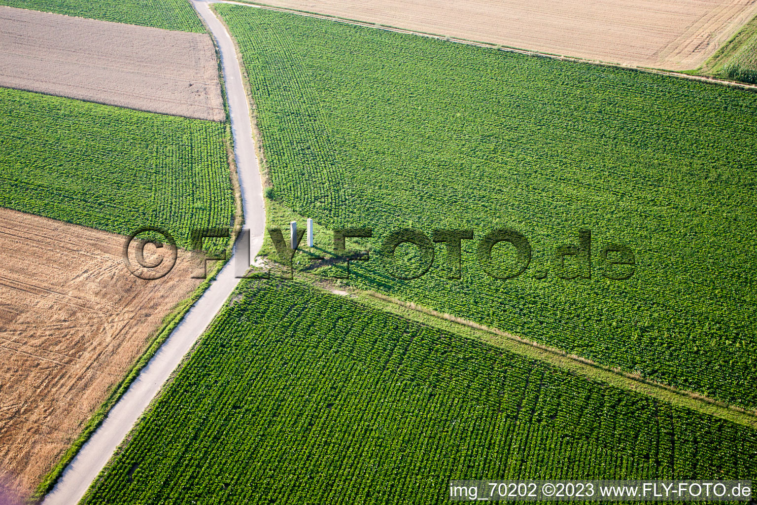 Steal in the district Herxheim in Herxheim bei Landau/Pfalz in the state Rhineland-Palatinate, Germany out of the air