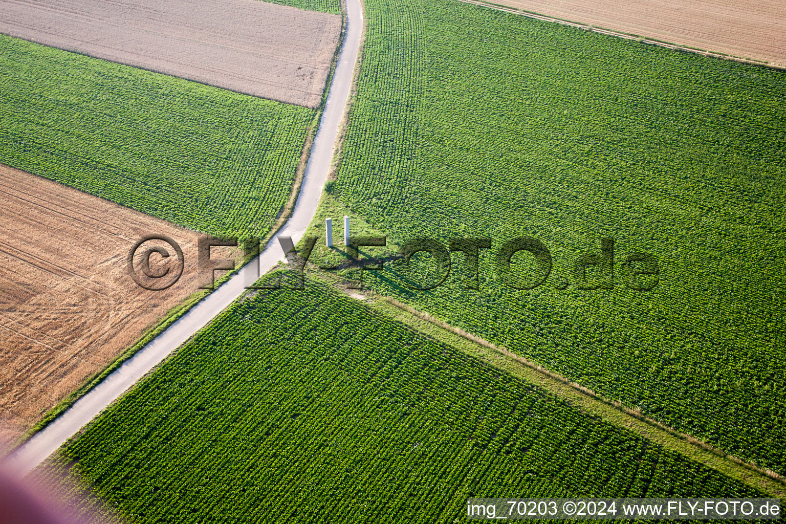 Steal in the district Herxheim in Herxheim bei Landau in the state Rhineland-Palatinate, Germany seen from above