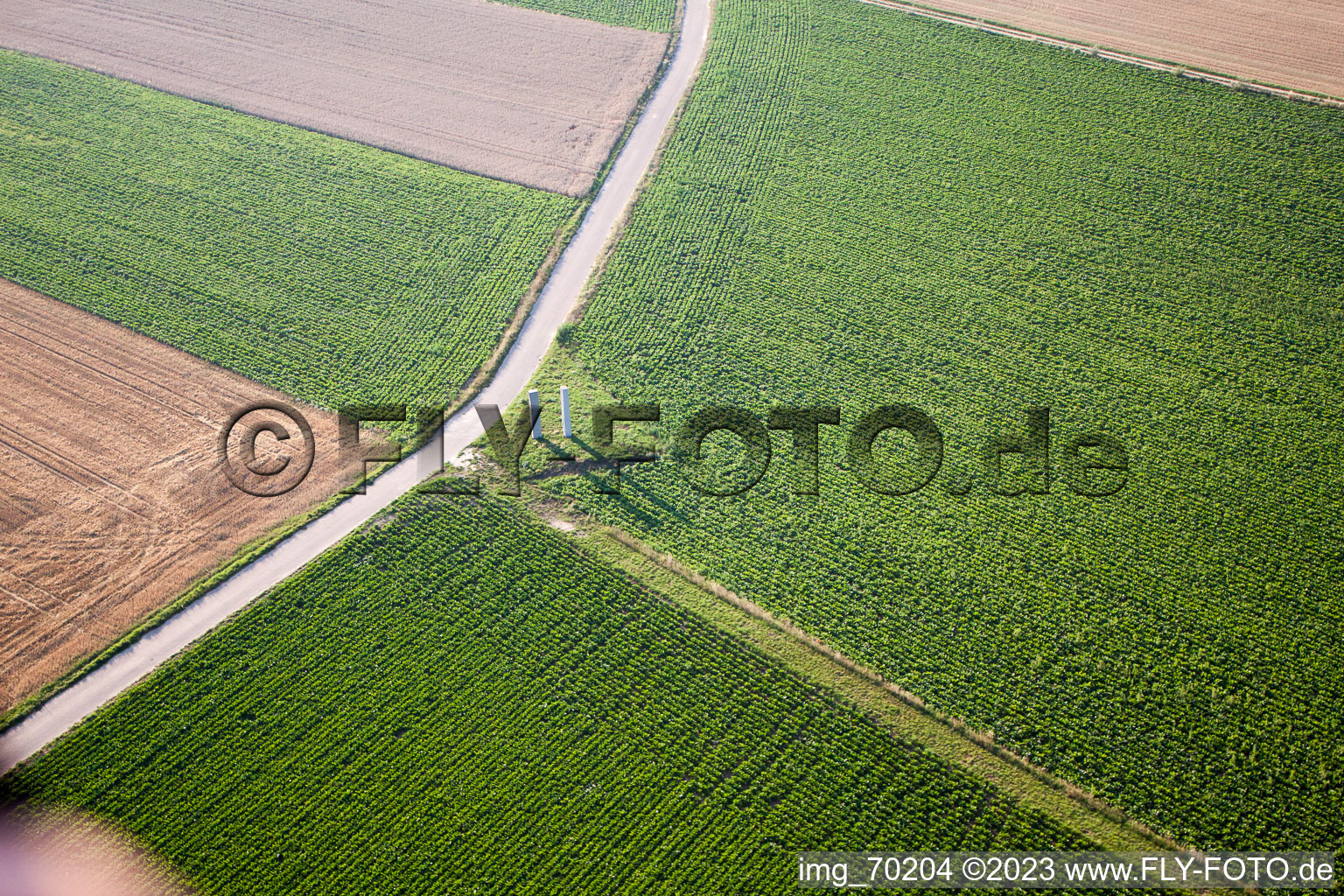 Steal in the district Herxheim in Herxheim bei Landau/Pfalz in the state Rhineland-Palatinate, Germany from the plane