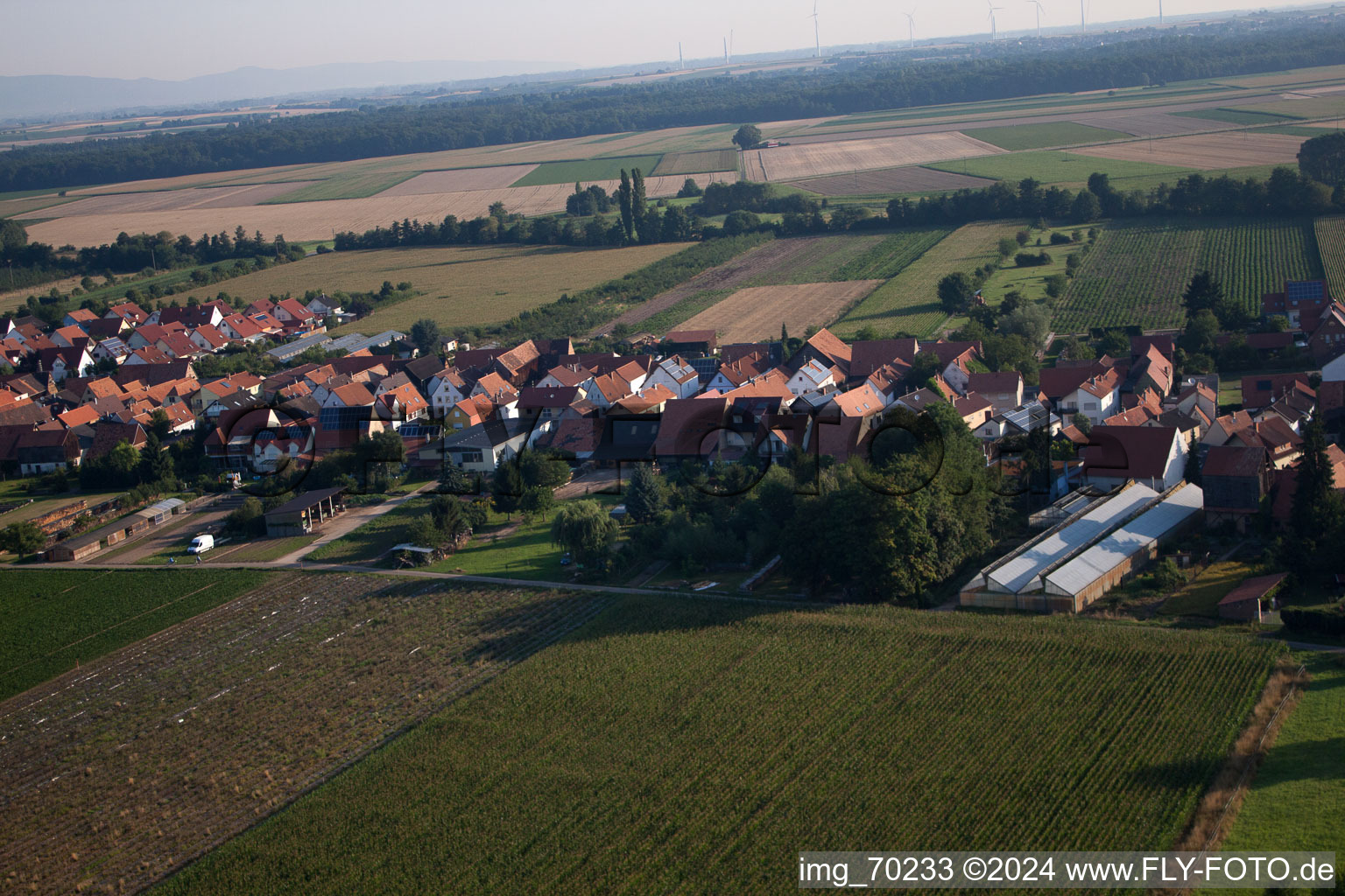 Erlenbach bei Kandel in the state Rhineland-Palatinate, Germany from a drone