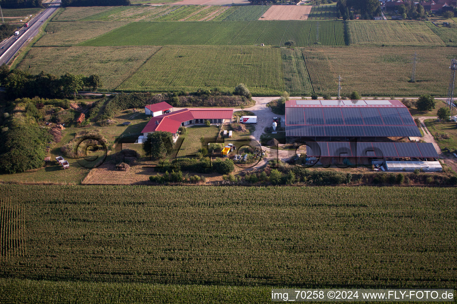 Chicken farm Aussiedlerhof in Erlenbach bei Kandel in the state Rhineland-Palatinate, Germany