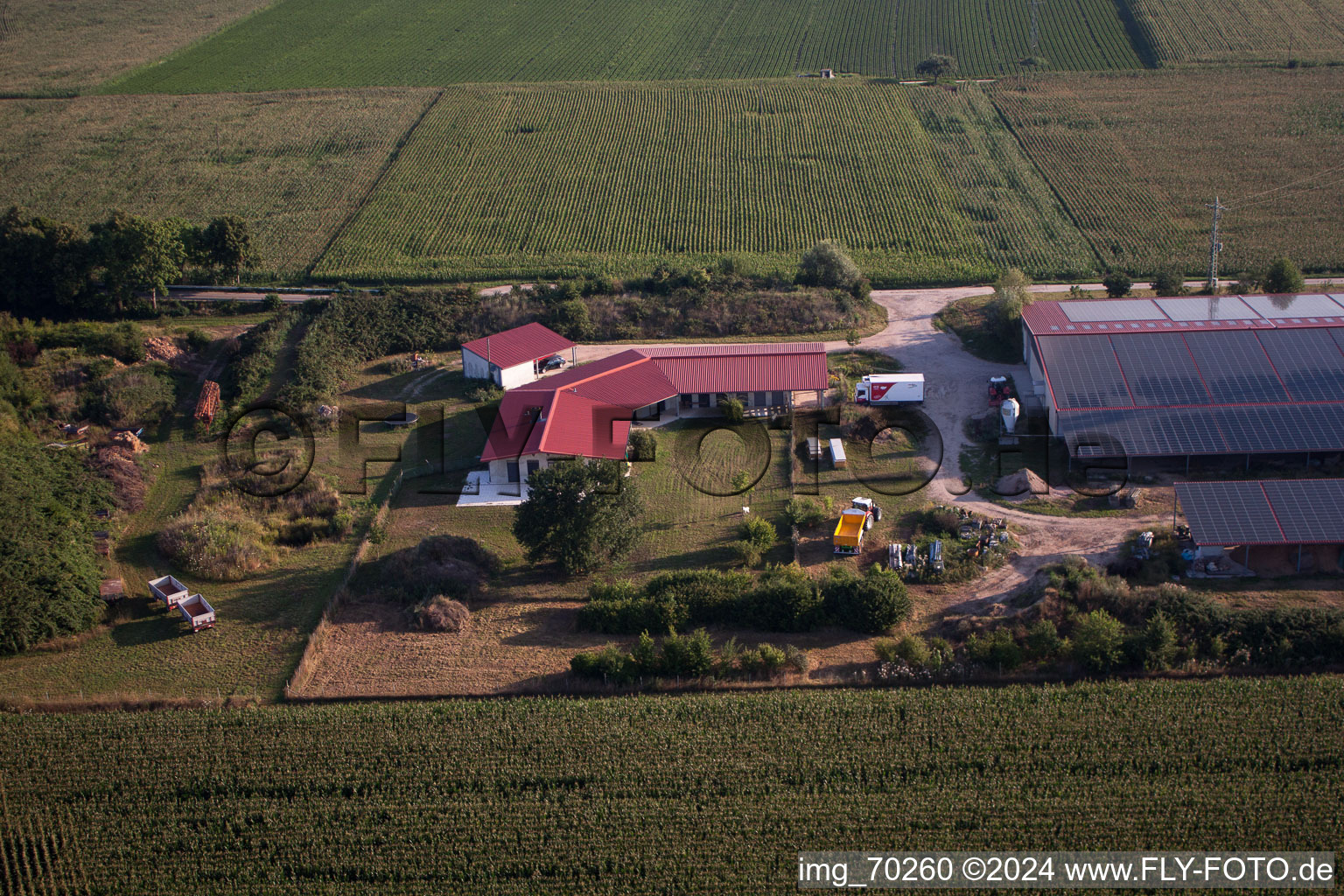 Aerial view of Chicken farm Aussiedlerhof in Erlenbach bei Kandel in the state Rhineland-Palatinate, Germany