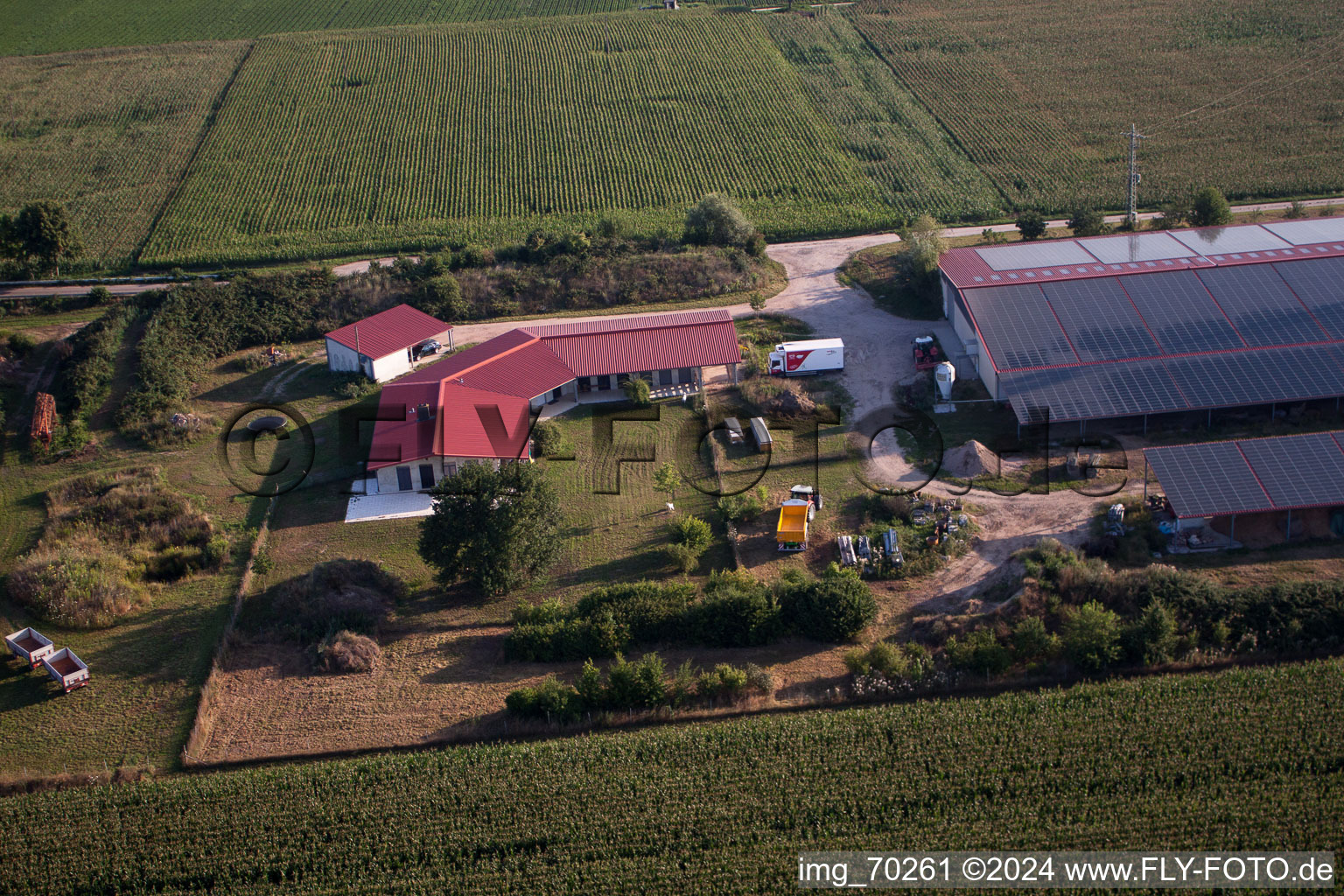 Aerial photograpy of Chicken farm Aussiedlerhof in Erlenbach bei Kandel in the state Rhineland-Palatinate, Germany