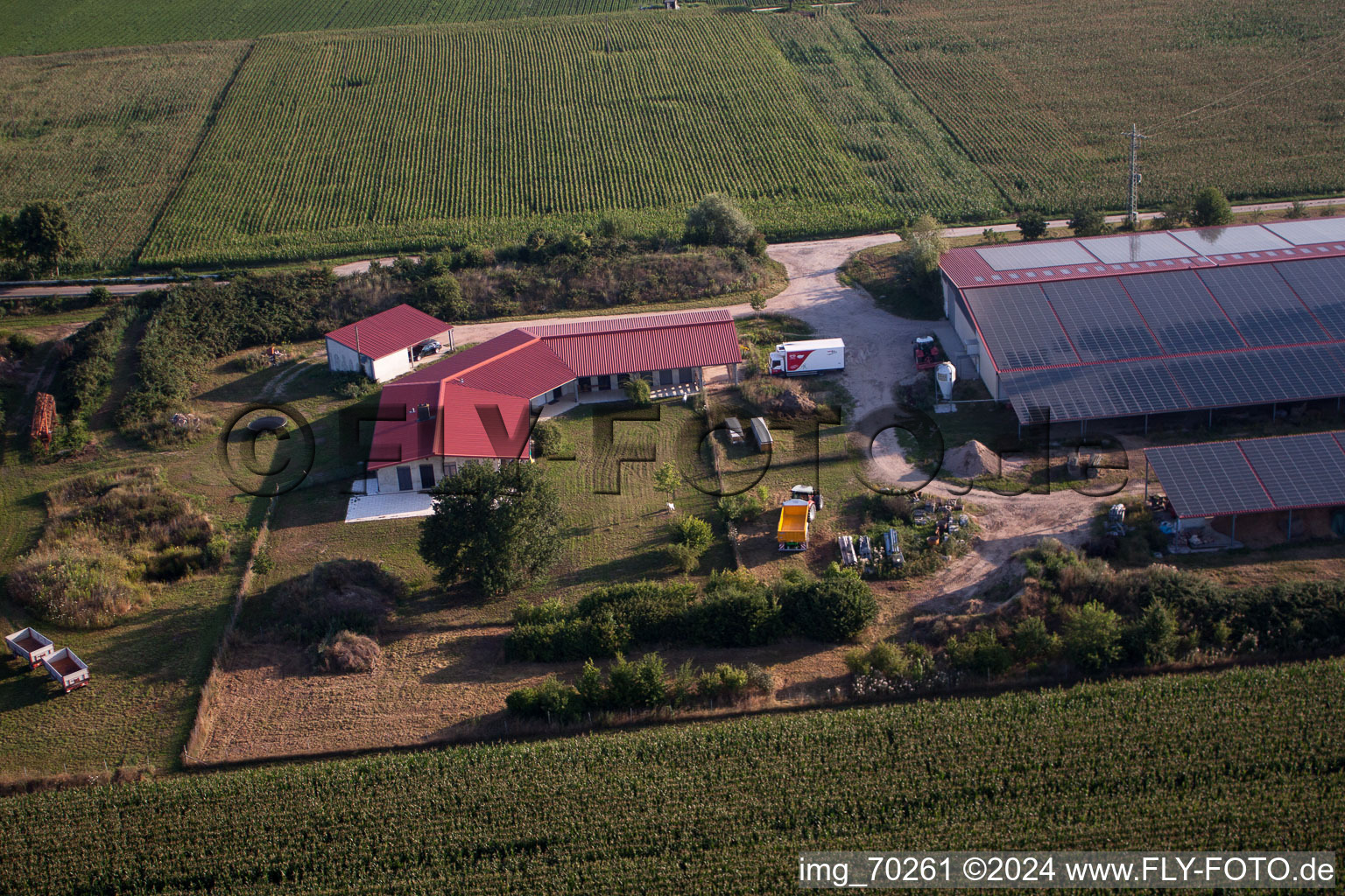 Aerial photograpy of Hühnerhof Aussiedlerhof in Erlenbach bei Kandel in the state Rhineland-Palatinate, Germany