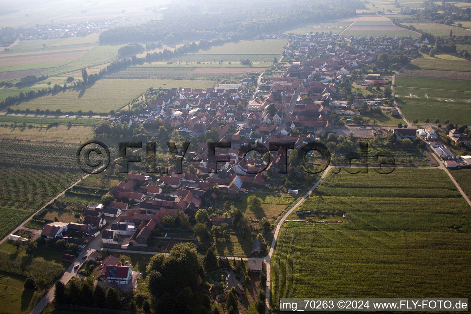 Erlenbach bei Kandel in the state Rhineland-Palatinate, Germany seen from above