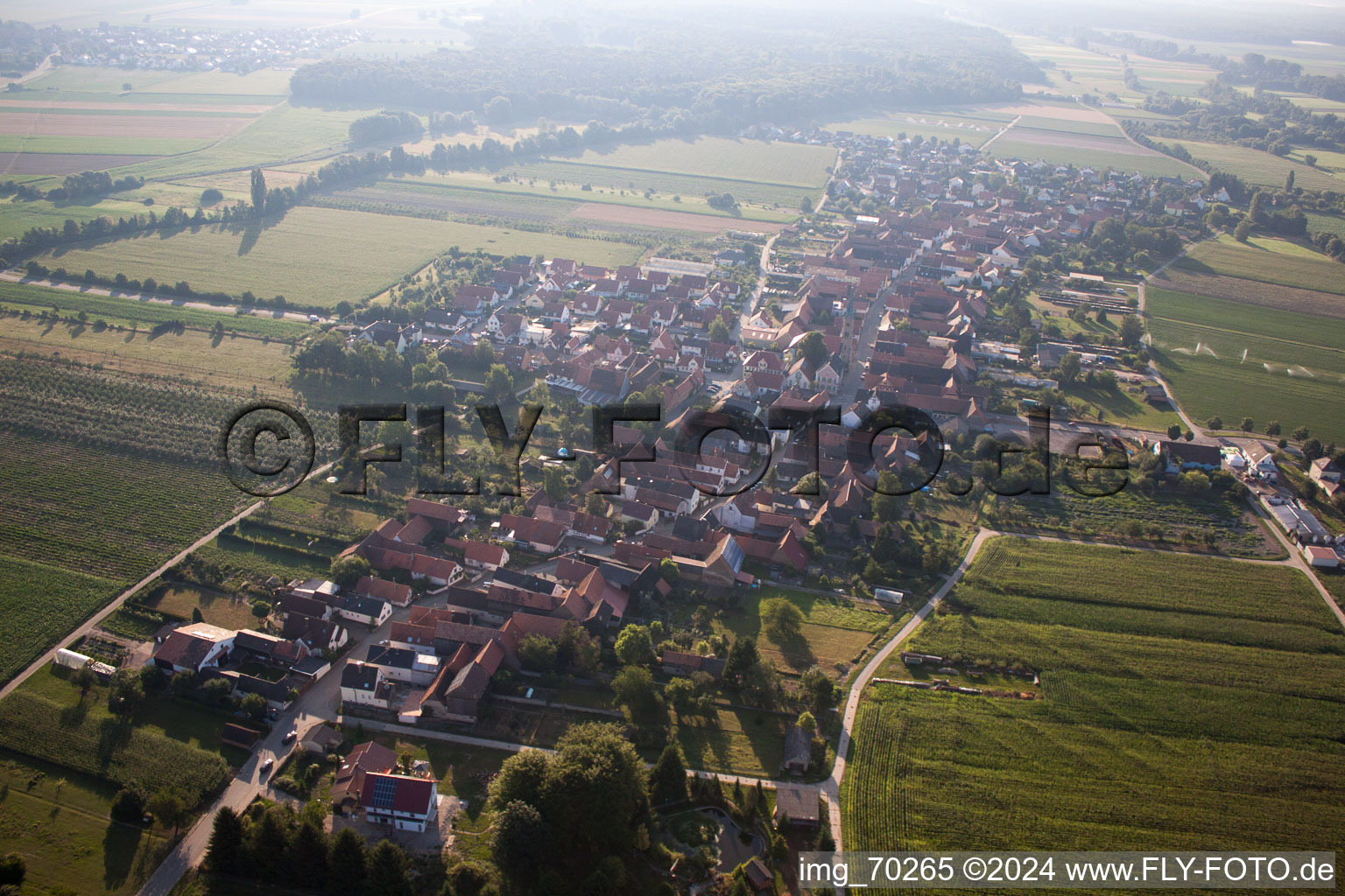 Erlenbach bei Kandel in the state Rhineland-Palatinate, Germany from the plane