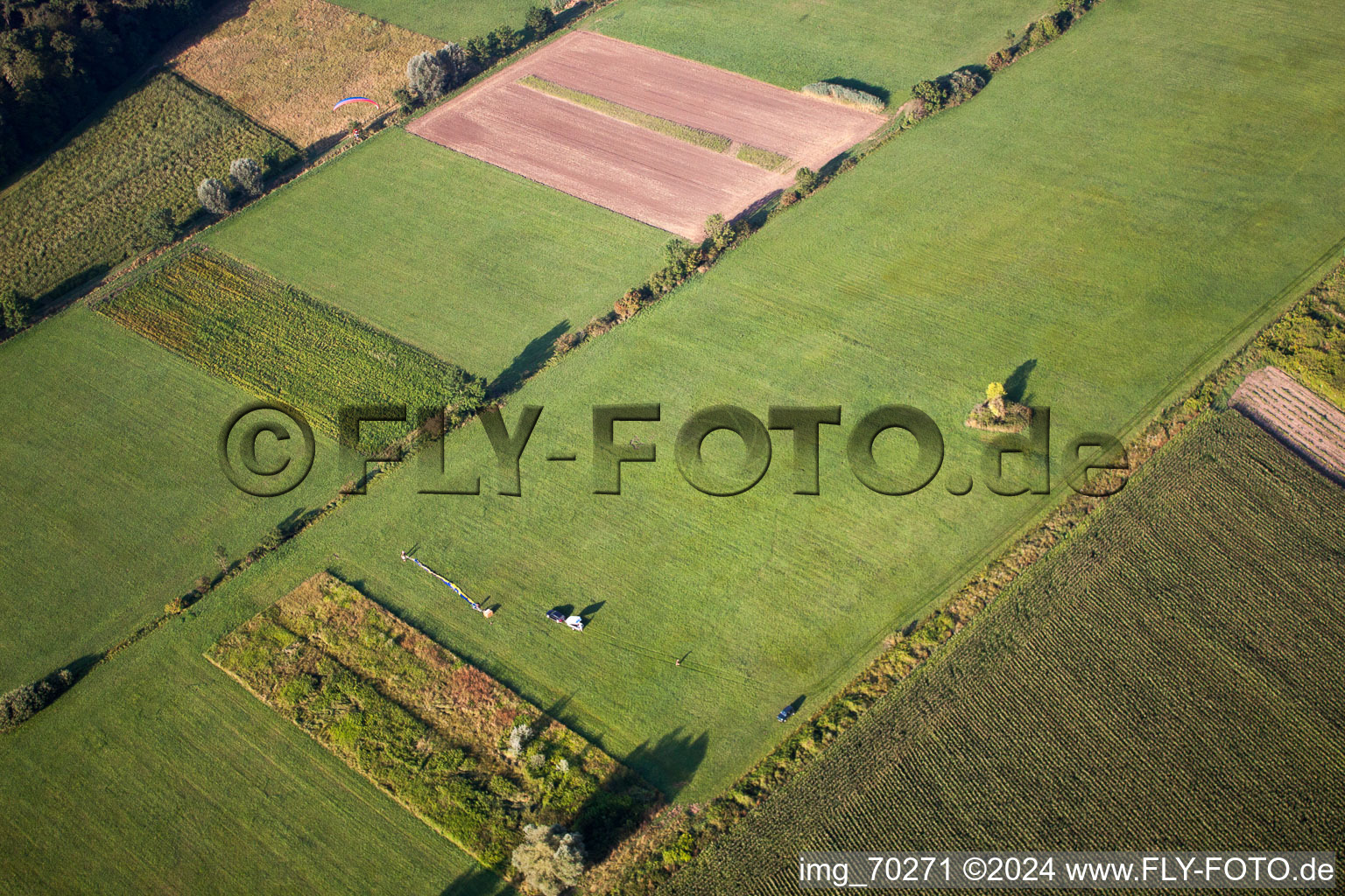 Balloon killed near Erlenbach in Erlenbach bei Kandel in the state Rhineland-Palatinate, Germany