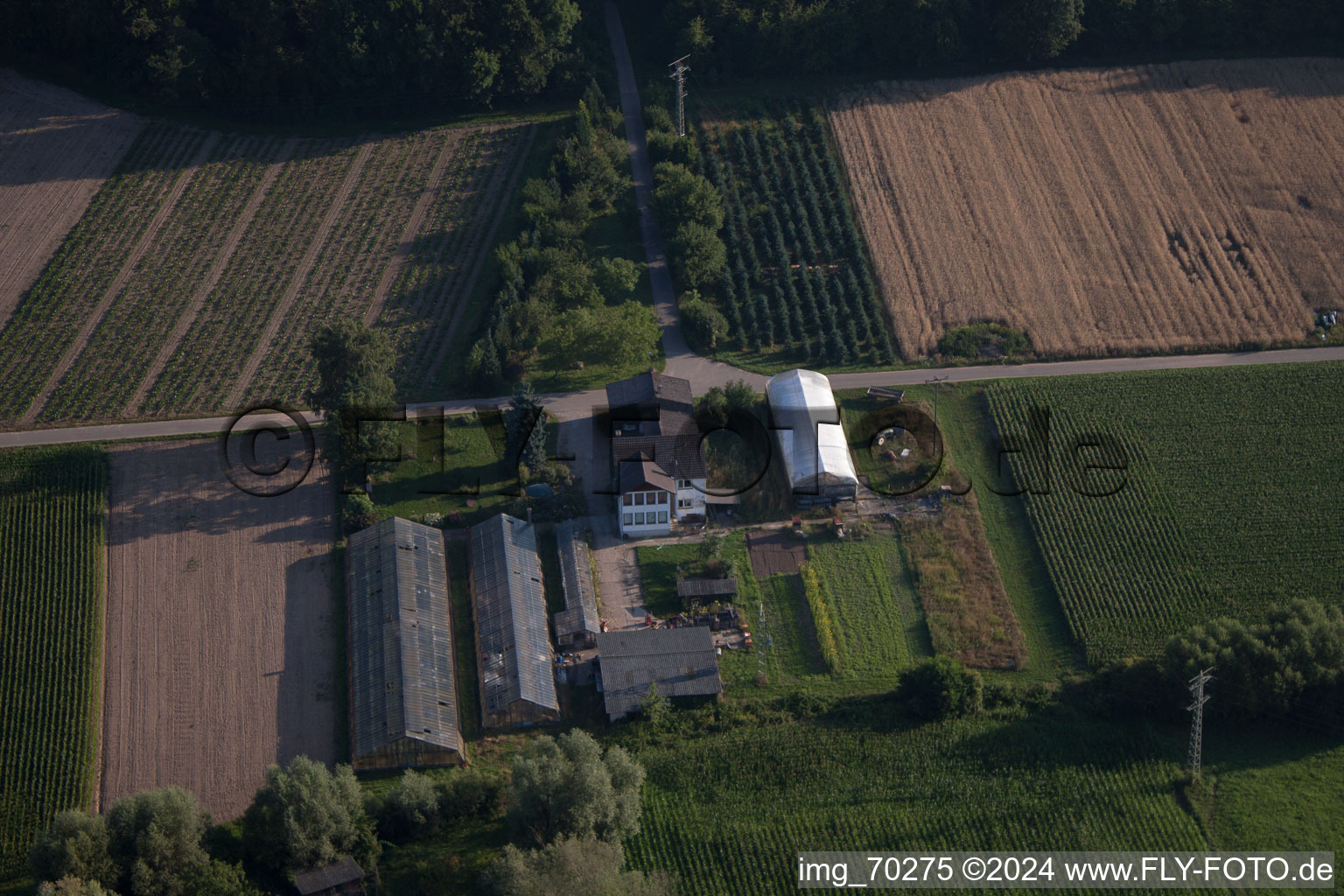 Aerial view of Nursery at Erlenbach in Erlenbach bei Kandel in the state Rhineland-Palatinate, Germany