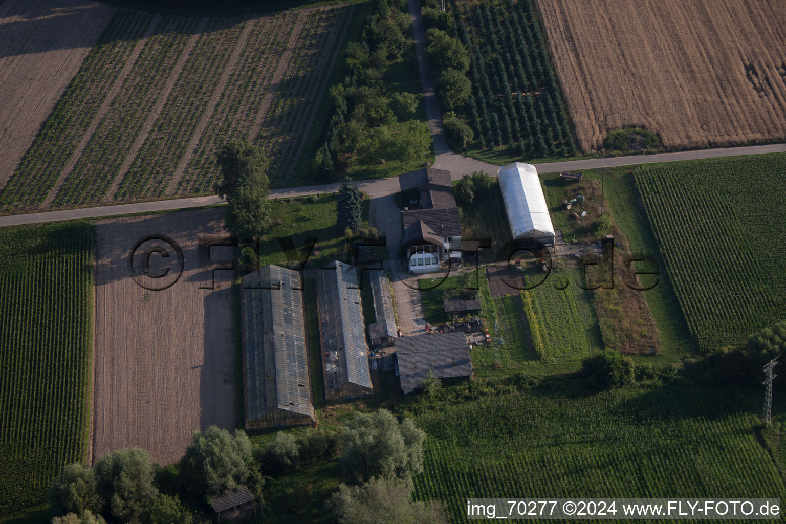 Aerial photograpy of Gardening at Erlenbach in Erlenbach bei Kandel in the state Rhineland-Palatinate, Germany