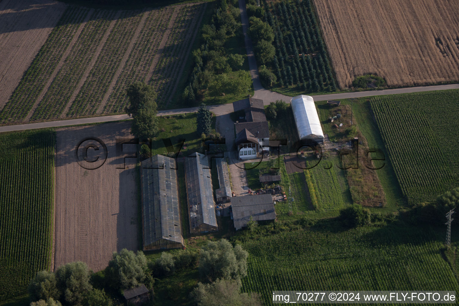 Aerial photograpy of Nursery at Erlenbach in Erlenbach bei Kandel in the state Rhineland-Palatinate, Germany