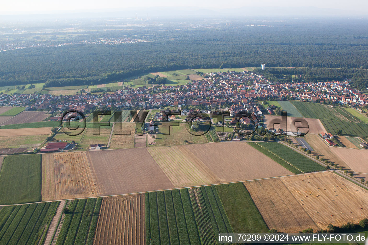 Hatzenbühl in the state Rhineland-Palatinate, Germany from the drone perspective