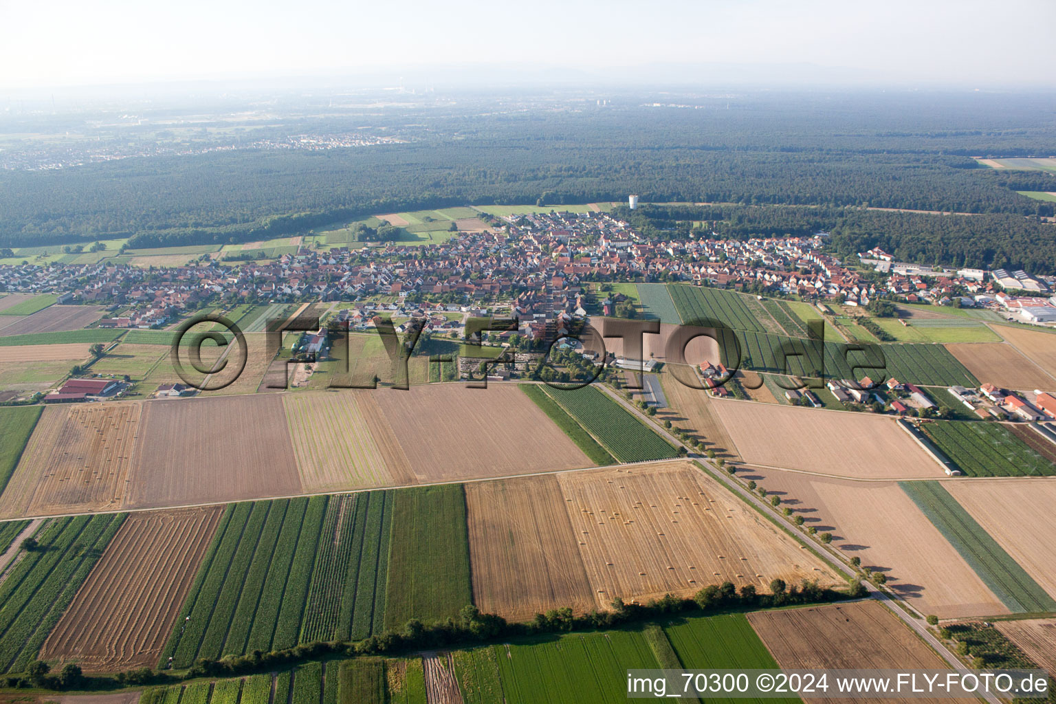 Hatzenbühl in the state Rhineland-Palatinate, Germany from a drone