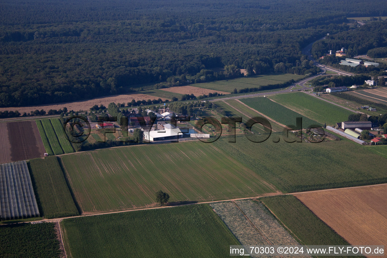 Adamshof foot golf course in Kandel in the state Rhineland-Palatinate, Germany from the plane