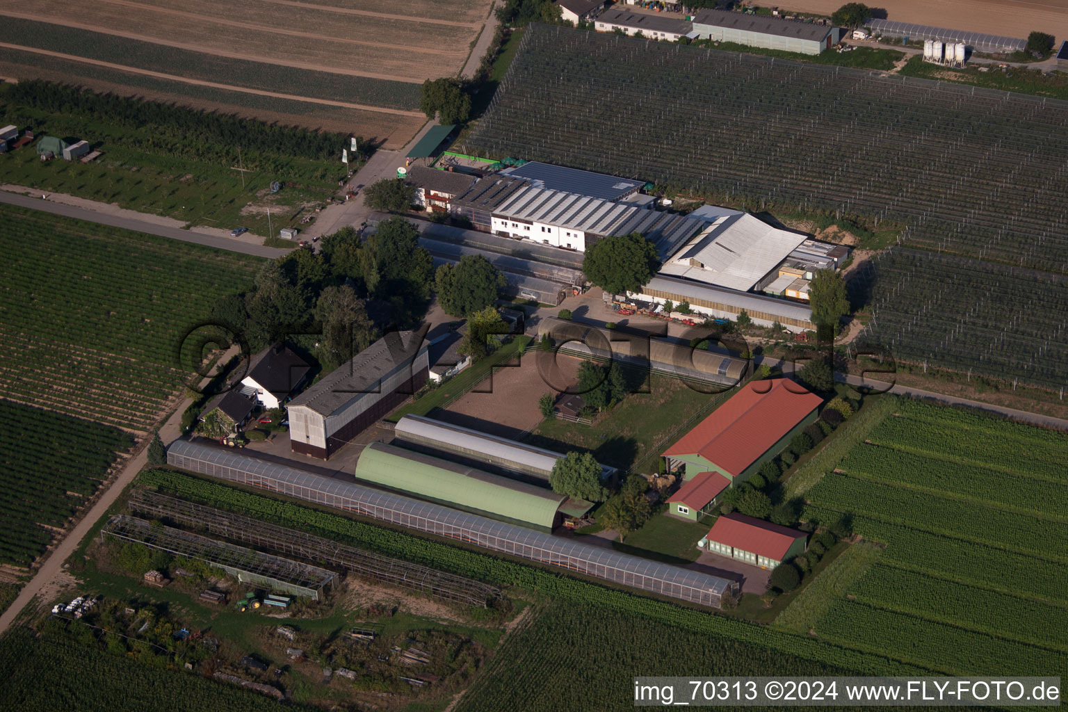 Zapf fruit farm and farm café in Kandel in the state Rhineland-Palatinate, Germany