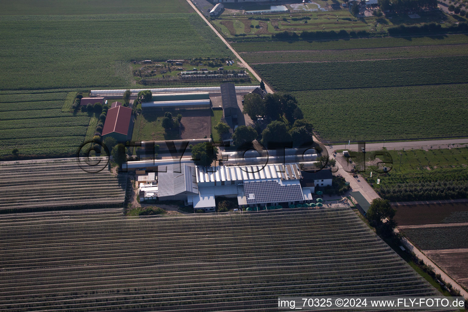 Aerial view of Zapf fruit farm and farm café in Kandel in the state Rhineland-Palatinate, Germany