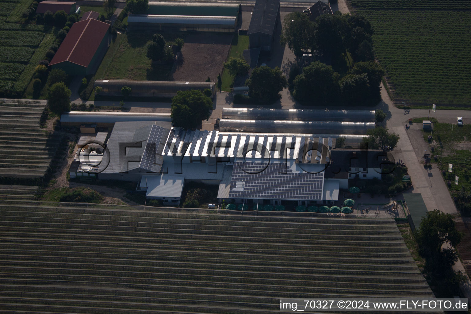 Oblique view of Zapf fruit farm and farm café in Kandel in the state Rhineland-Palatinate, Germany