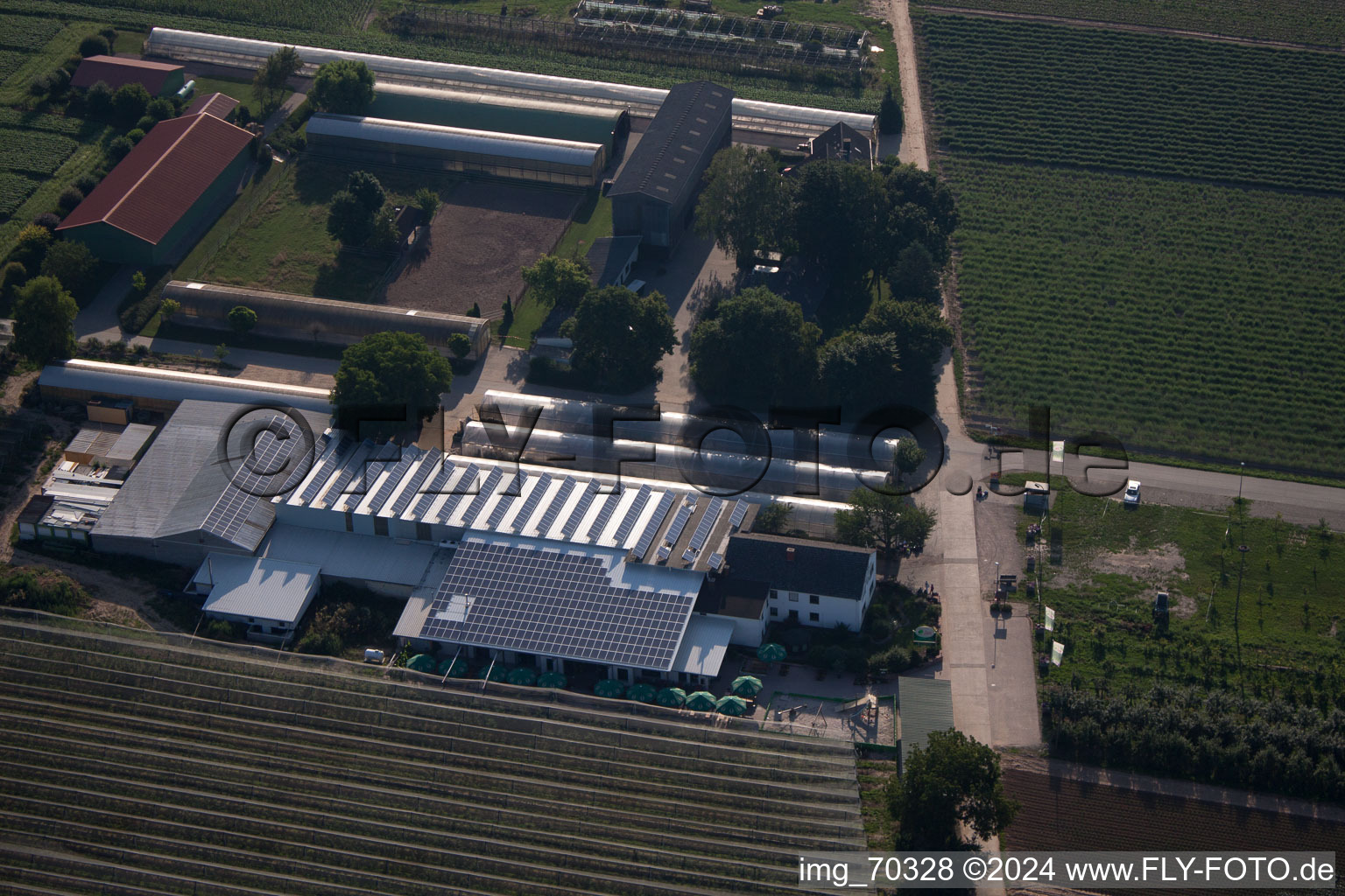 Zapf fruit farm and farm café in Kandel in the state Rhineland-Palatinate, Germany from above