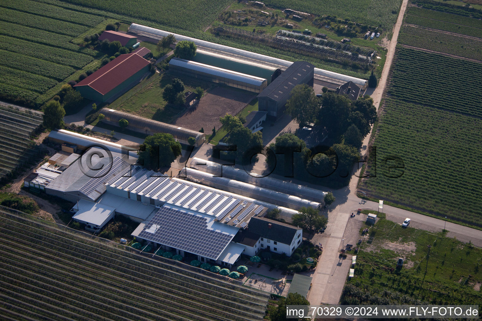 Obsthof Zapf and Hofcafé in Kandel in the state Rhineland-Palatinate, Germany out of the air