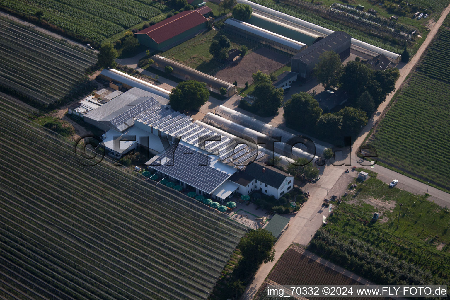 Zapf fruit farm and farm café in Kandel in the state Rhineland-Palatinate, Germany seen from above