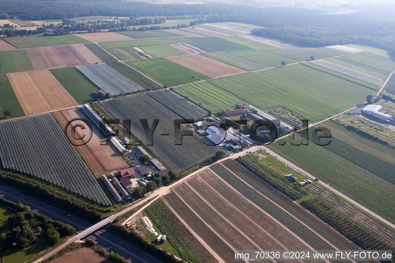 Zapf fruit farm and farm café in Kandel in the state Rhineland-Palatinate, Germany from the plane