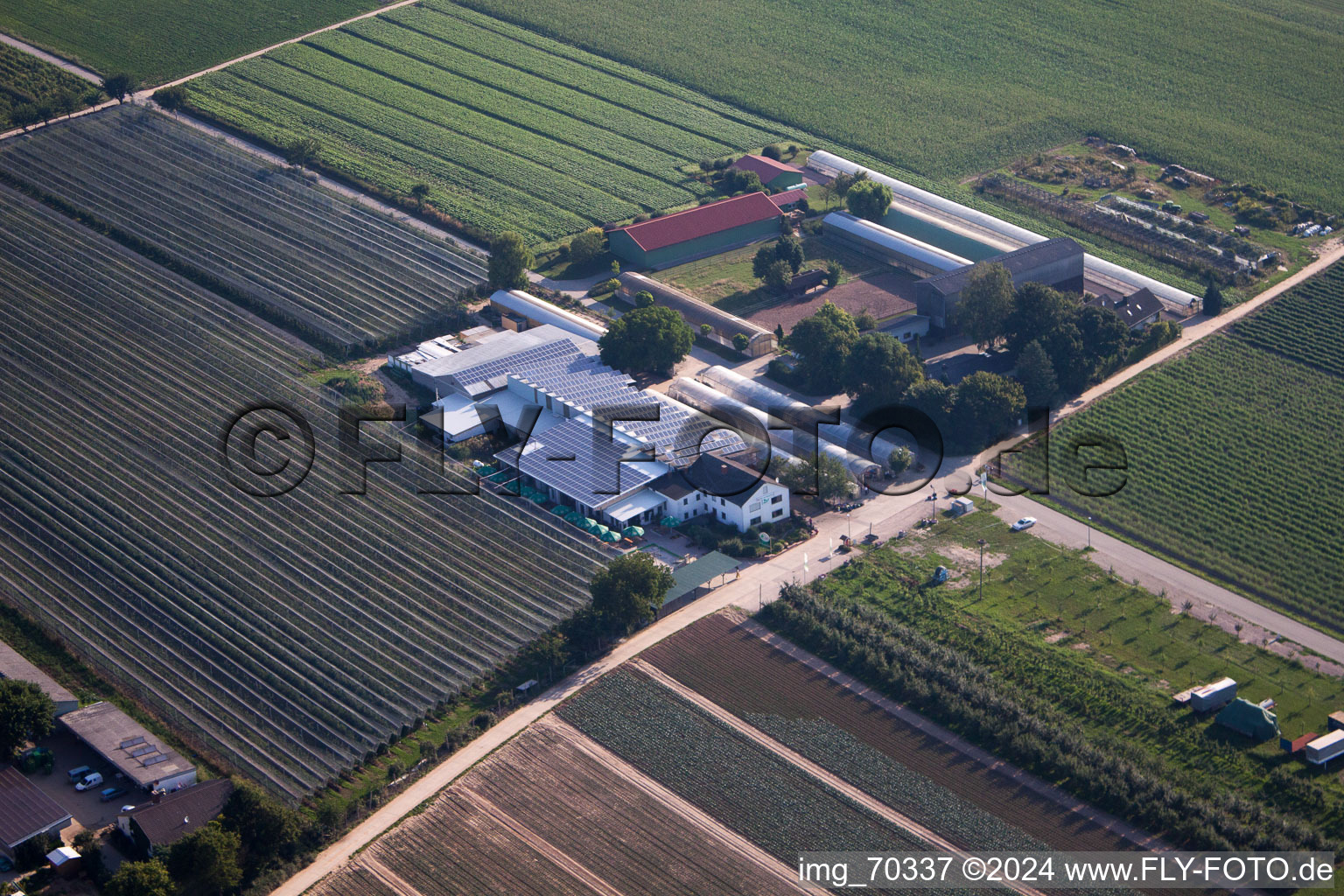 Bird's eye view of Zapf fruit farm and farm café in Kandel in the state Rhineland-Palatinate, Germany