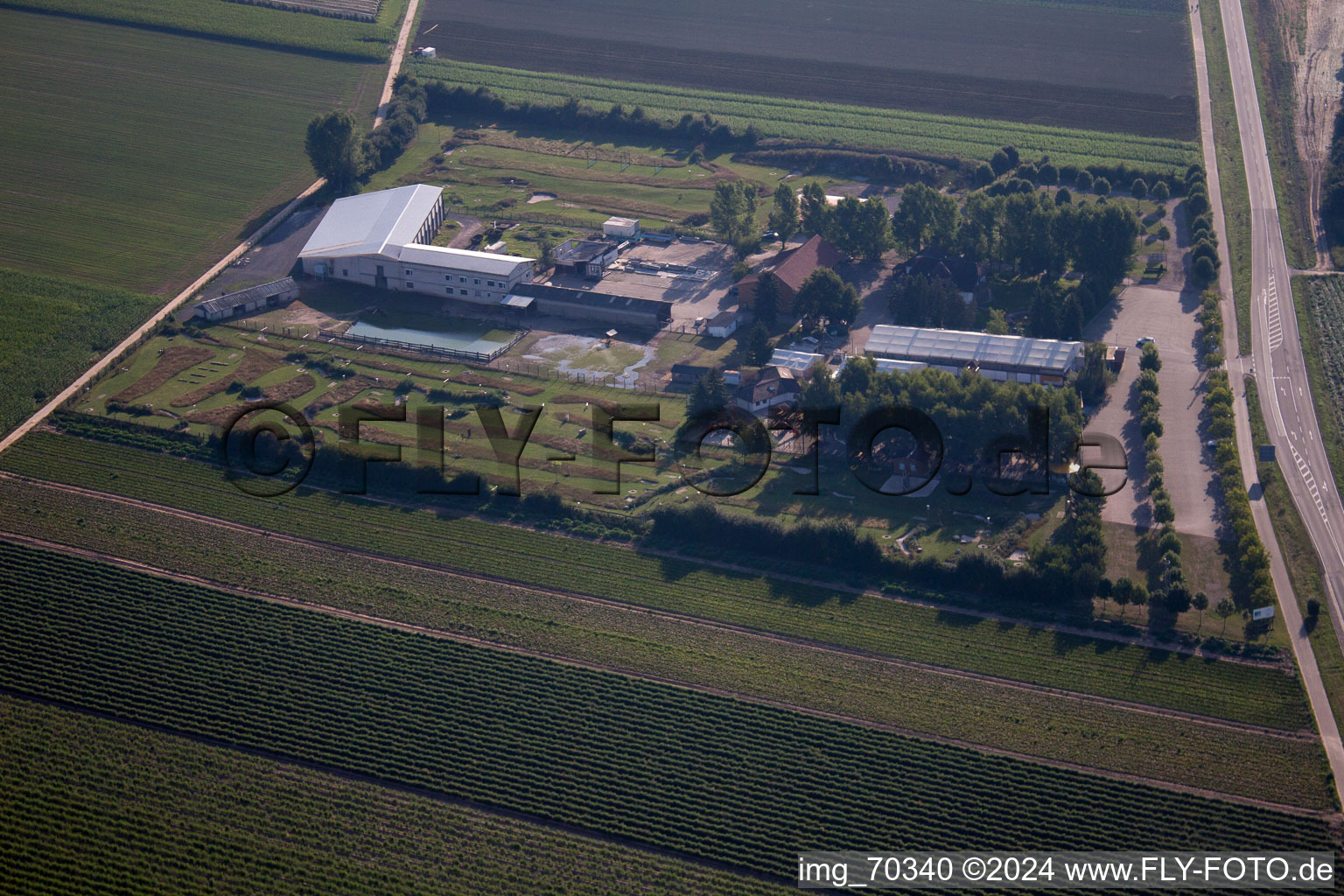 Adamshof foot golf course in Kandel in the state Rhineland-Palatinate, Germany from above