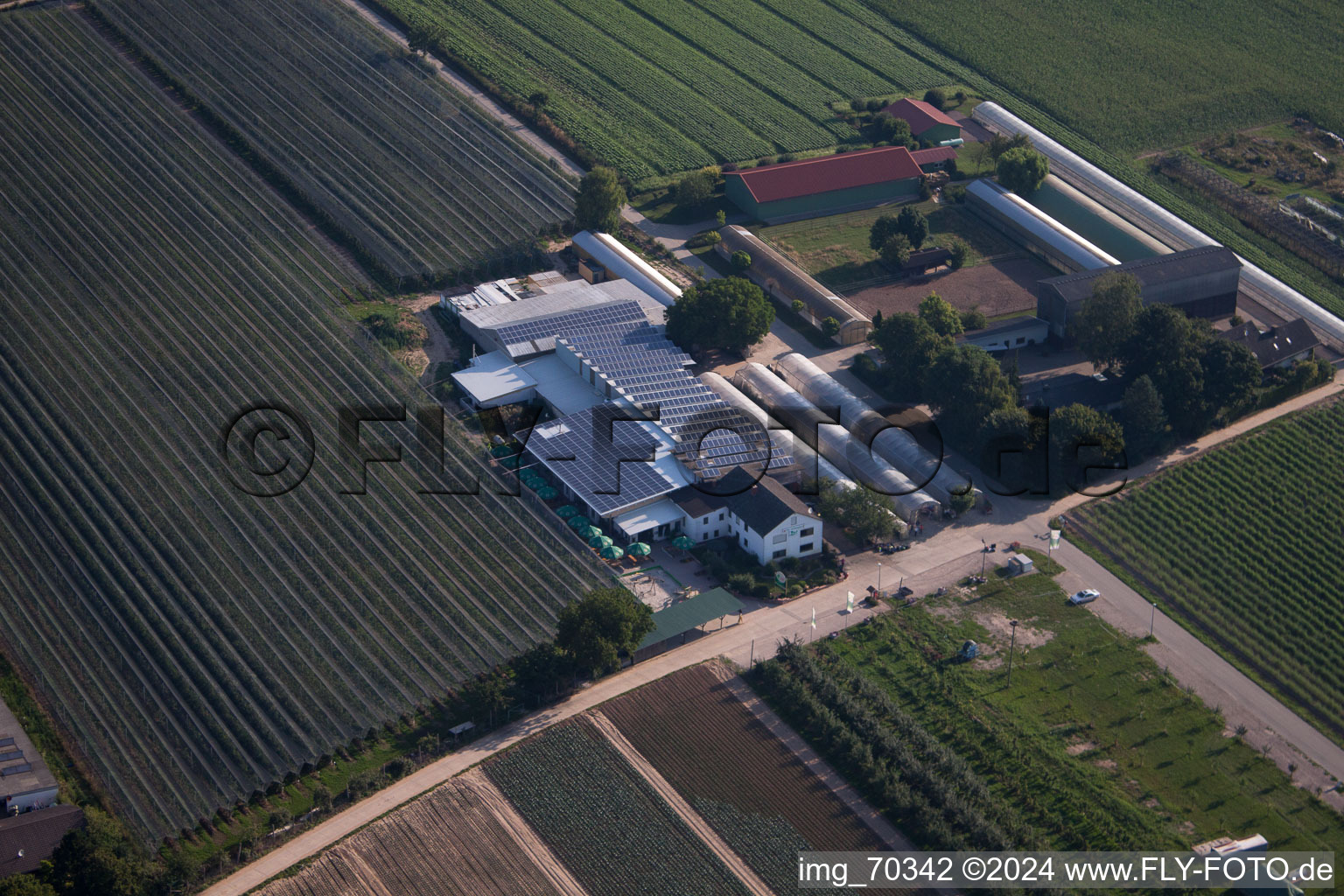 Zapf fruit farm and farm café in Kandel in the state Rhineland-Palatinate, Germany viewn from the air