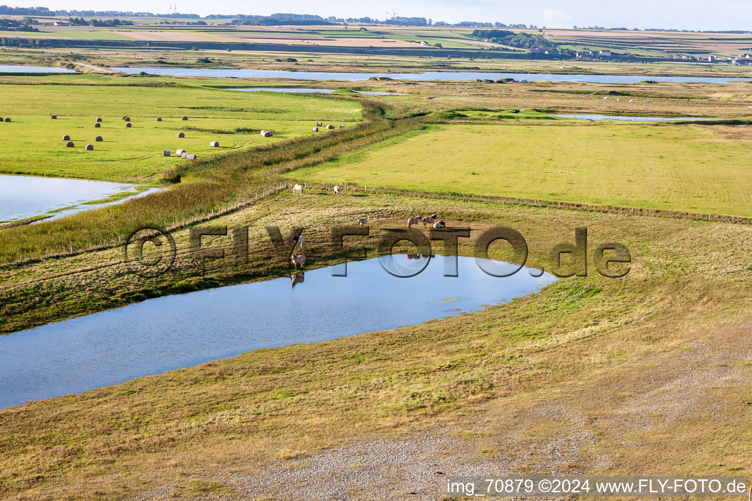 Pastures behind the dike in Woignarue in the state Somme, France