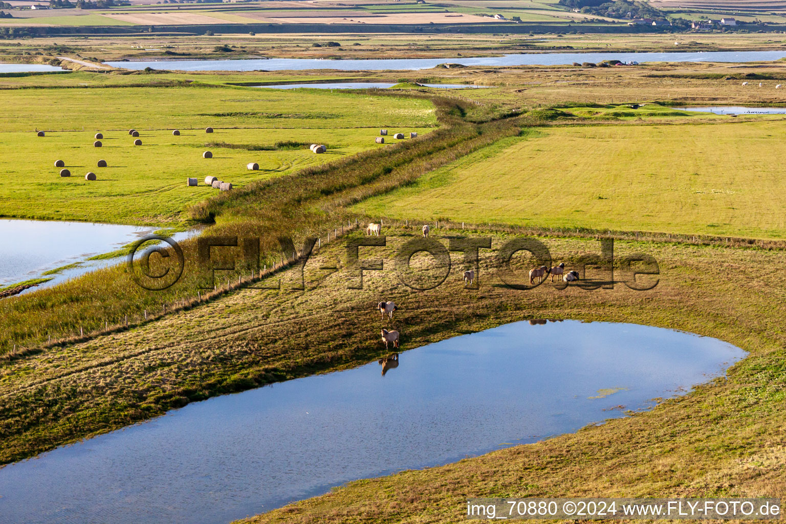 Aerial view of Pastures behind the dike in Woignarue in the state Somme, France