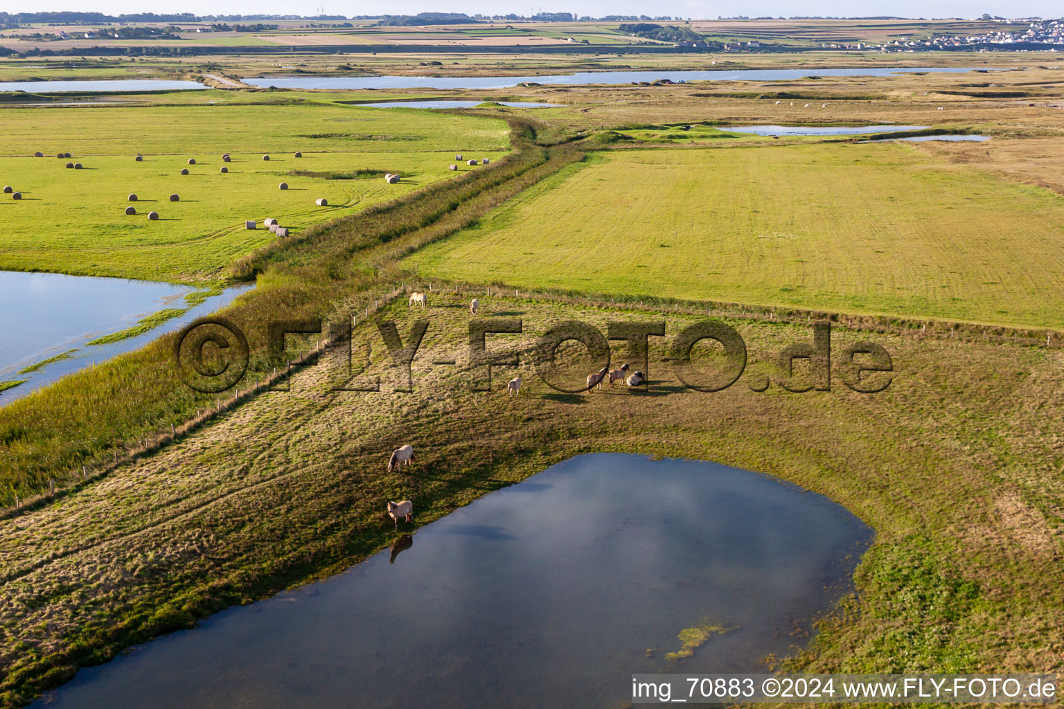 Aerial photograpy of Pastures behind the dike in Woignarue in the state Somme, France