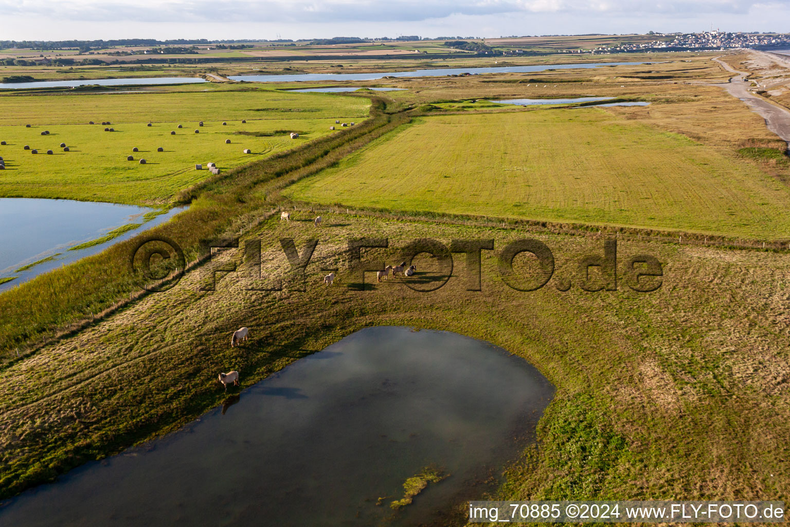 Oblique view of Pastures behind the dike in Woignarue in the state Somme, France