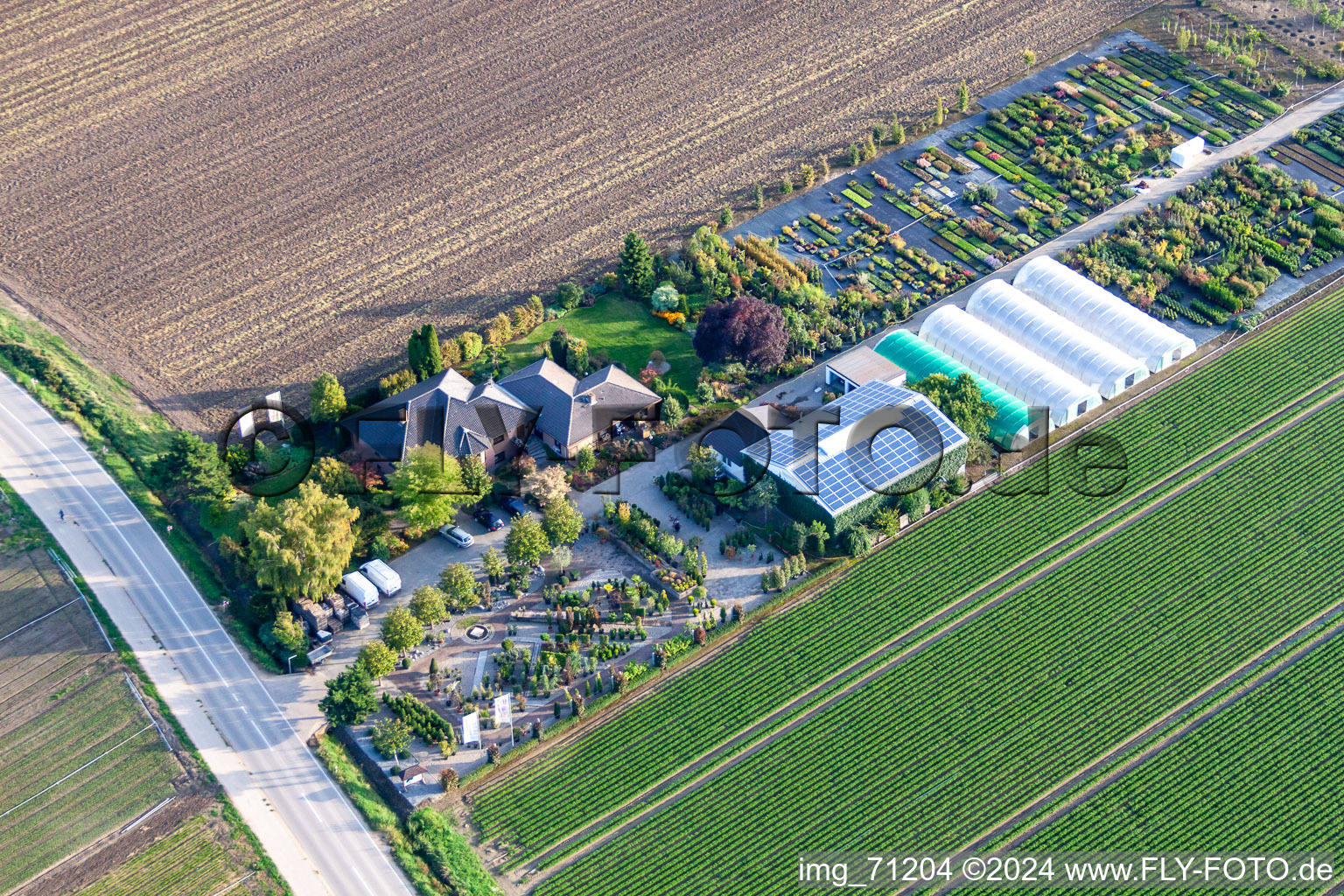 Krüger Nursery in Mutterstadt in the state Rhineland-Palatinate, Germany