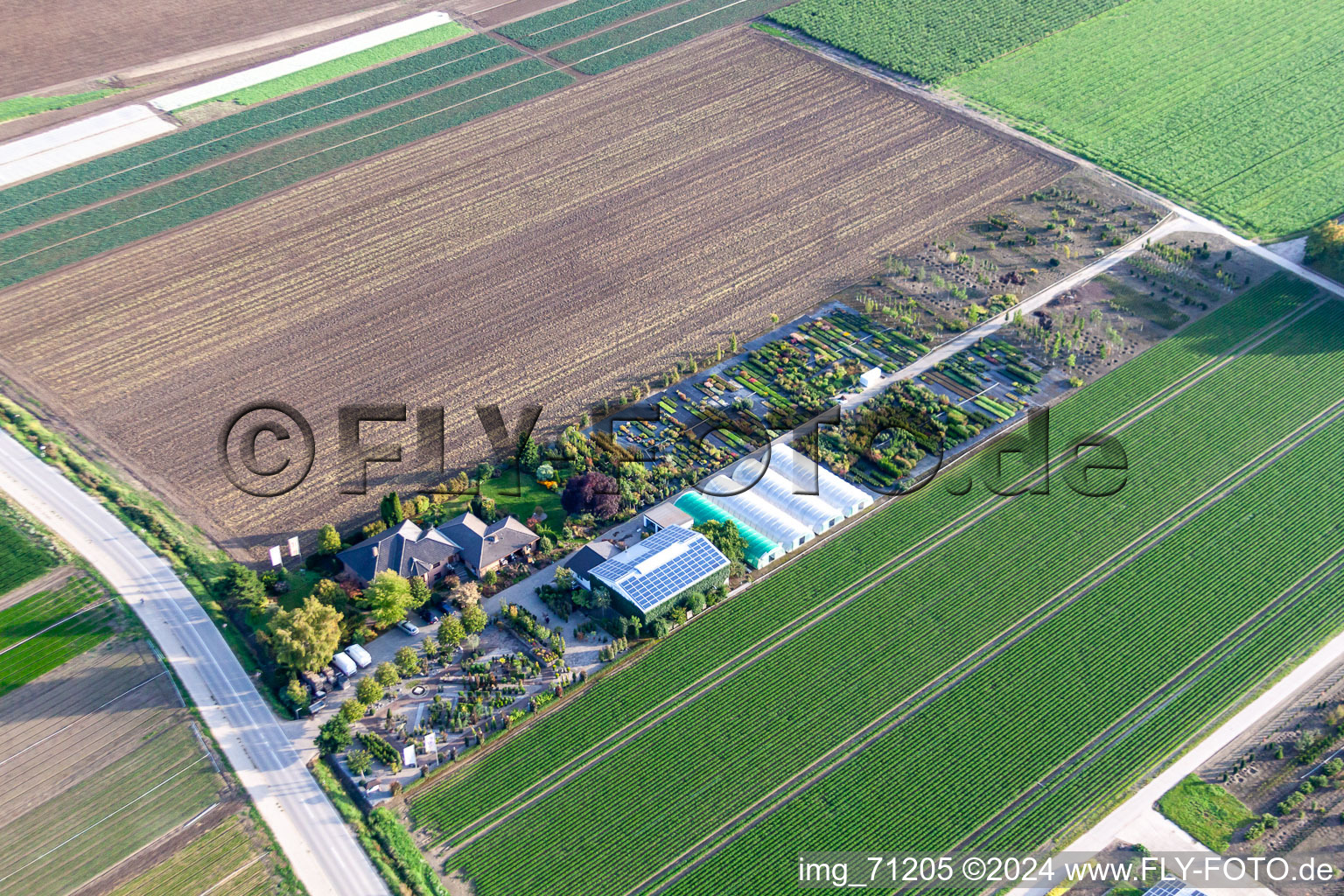 Aerial view of Krüger Nursery in Mutterstadt in the state Rhineland-Palatinate, Germany