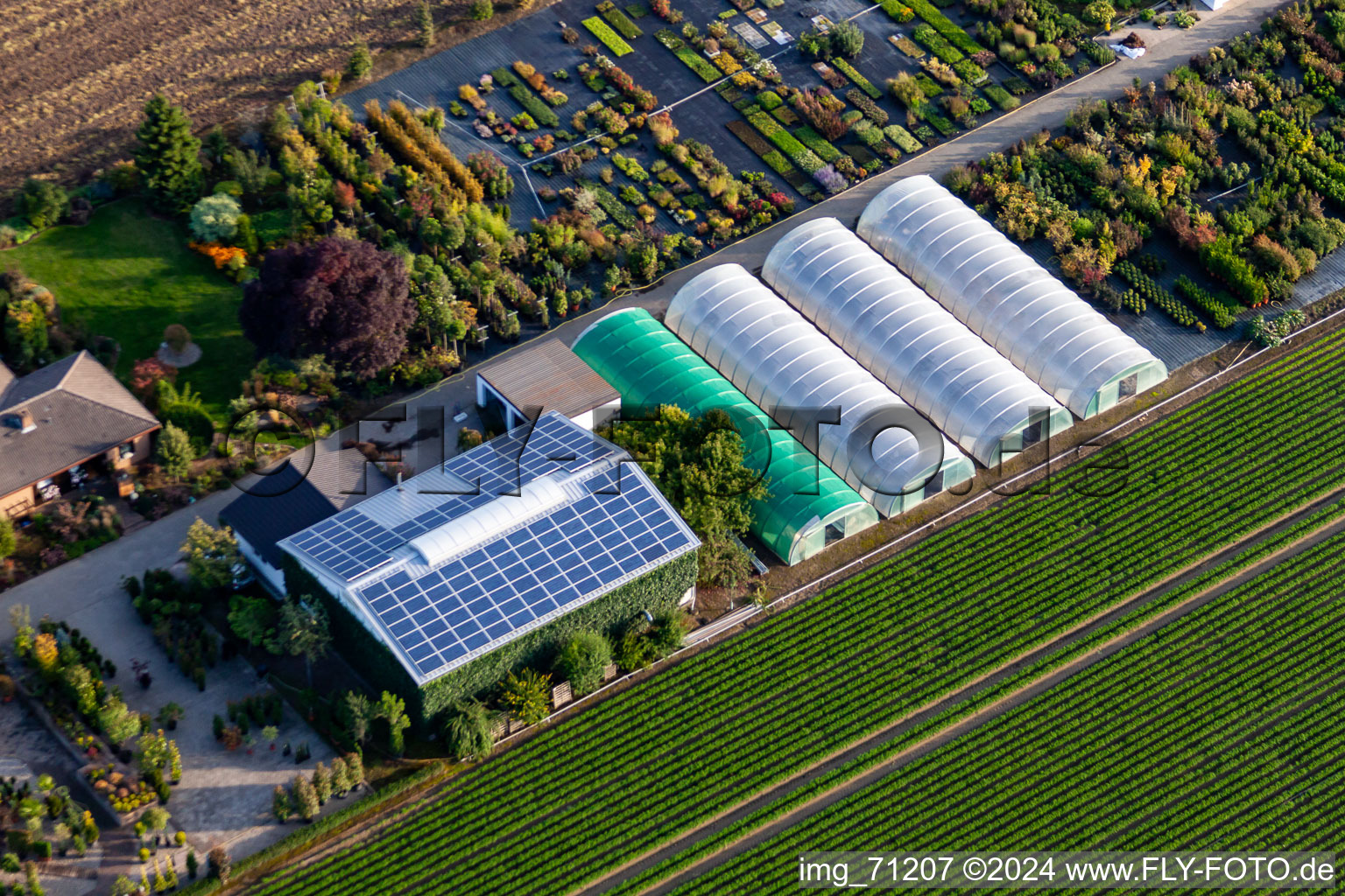 Aerial photograpy of Krüger Nursery in Mutterstadt in the state Rhineland-Palatinate, Germany