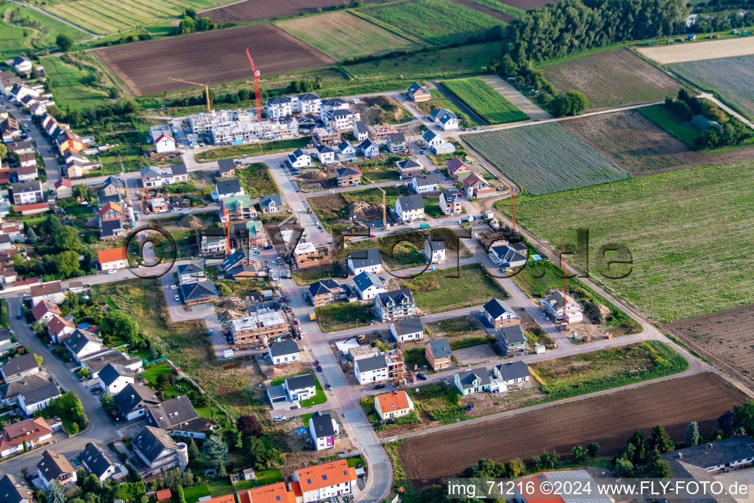 New development area Betheny-Allee in the district Schauernheim in Dannstadt-Schauernheim in the state Rhineland-Palatinate, Germany