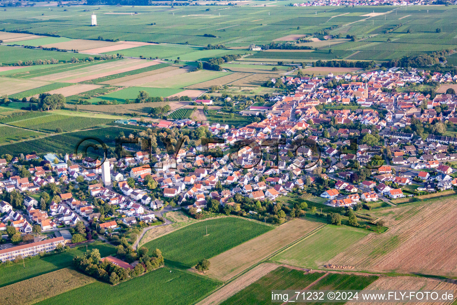 District Lachen in Neustadt an der Weinstraße in the state Rhineland-Palatinate, Germany from the drone perspective