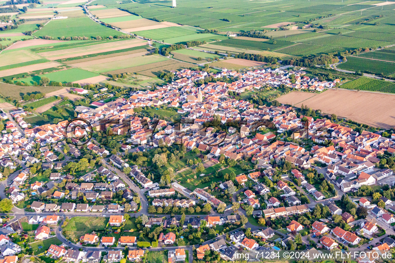 Aerial view of District Lachen in Neustadt an der Weinstraße in the state Rhineland-Palatinate, Germany