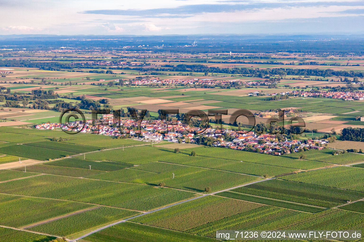 District Duttweiler in Neustadt an der Weinstraße in the state Rhineland-Palatinate, Germany from the plane